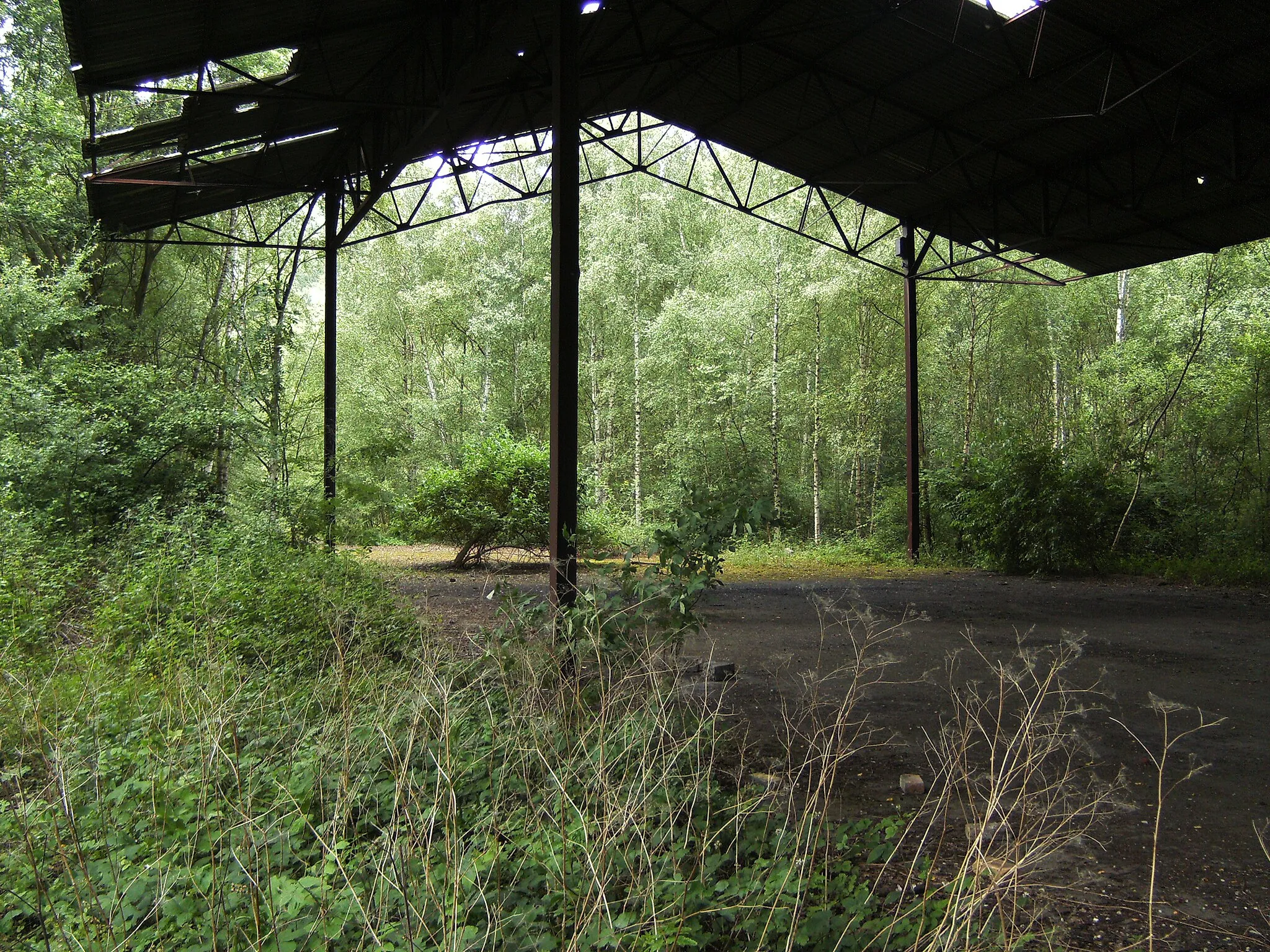 Photo showing: Terril du Martinet à Roux (Charleroi - Belgique)