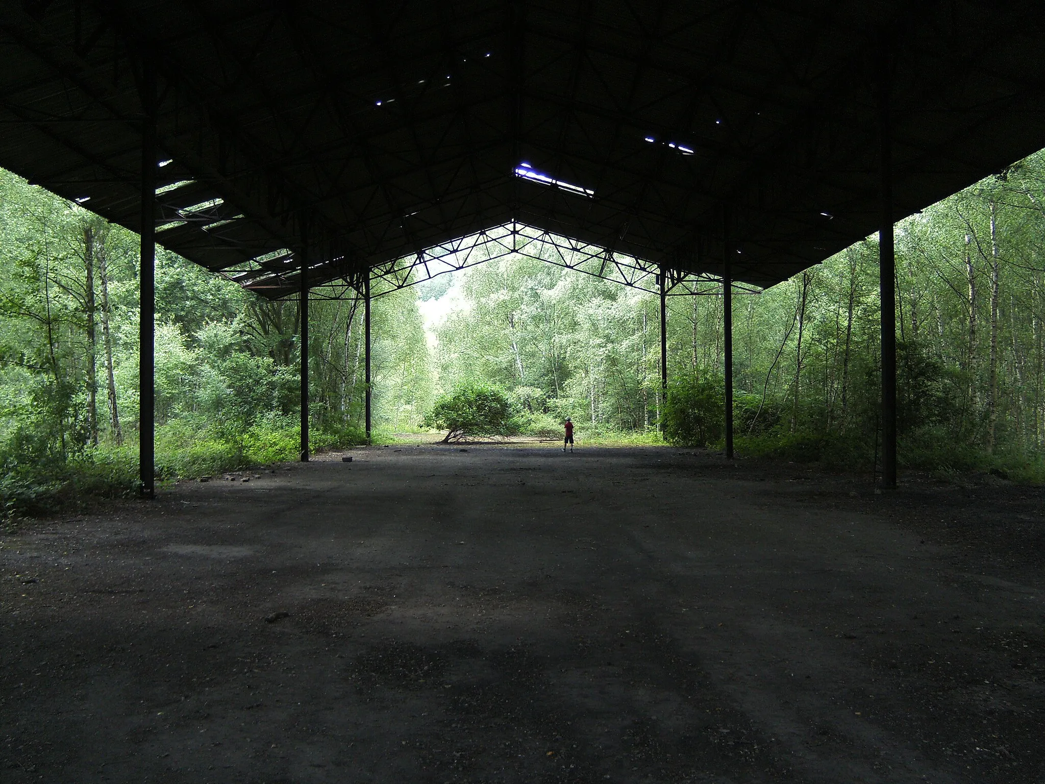 Photo showing: Terril du Martinet à Roux (Charleroi - Belgique)