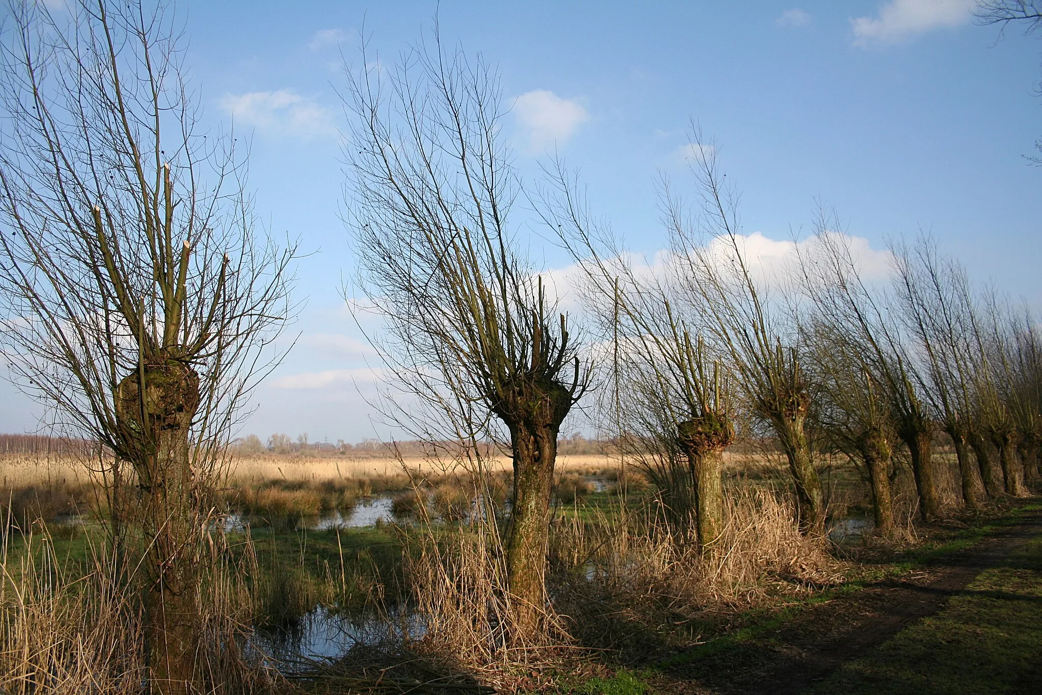 Photo showing: This is a photo of a monument in Wallonia, number: