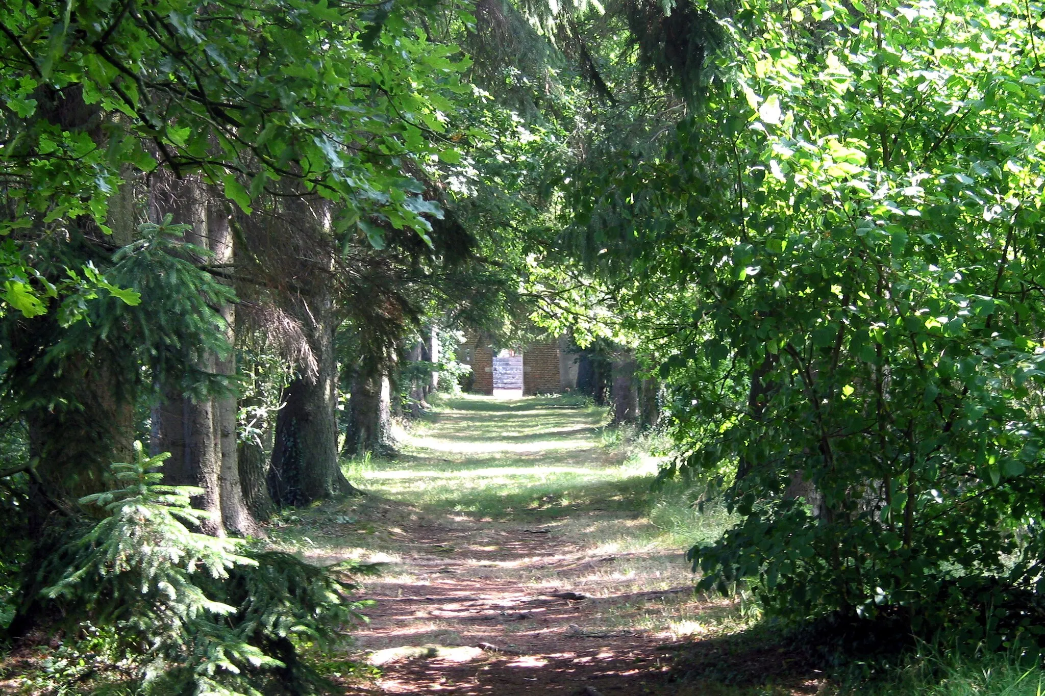 Photo showing: Leers-et-Fosteau (Belgique), allée d'arbres dans le parc du château.