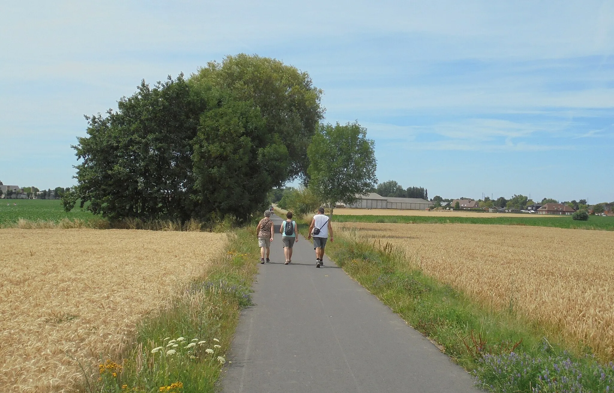 Photo showing: Spoorlijn 83 nabij de grens van Heestert met Avelgem - West-Vlaanderen - België