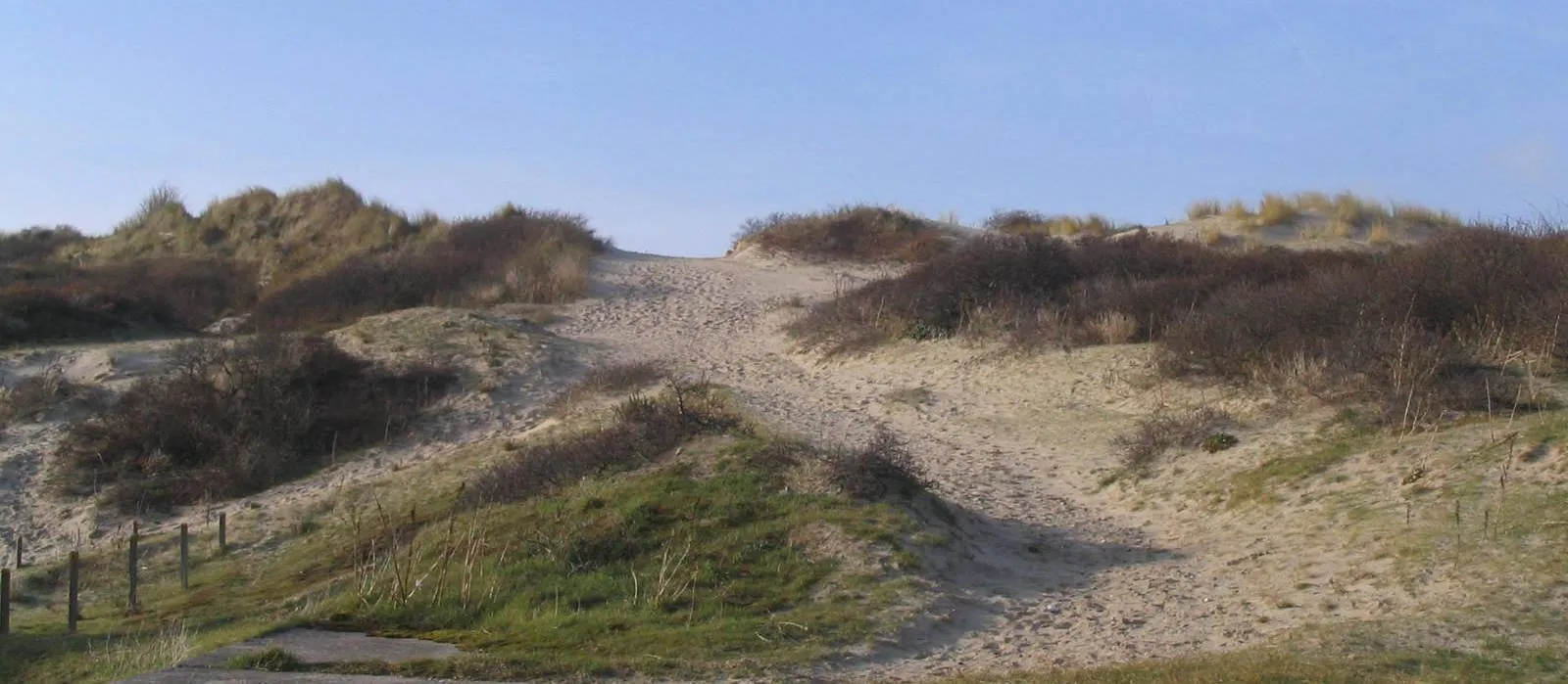 Photo showing: Aspect du massif dunaire de Fort-Mahon-Plage
