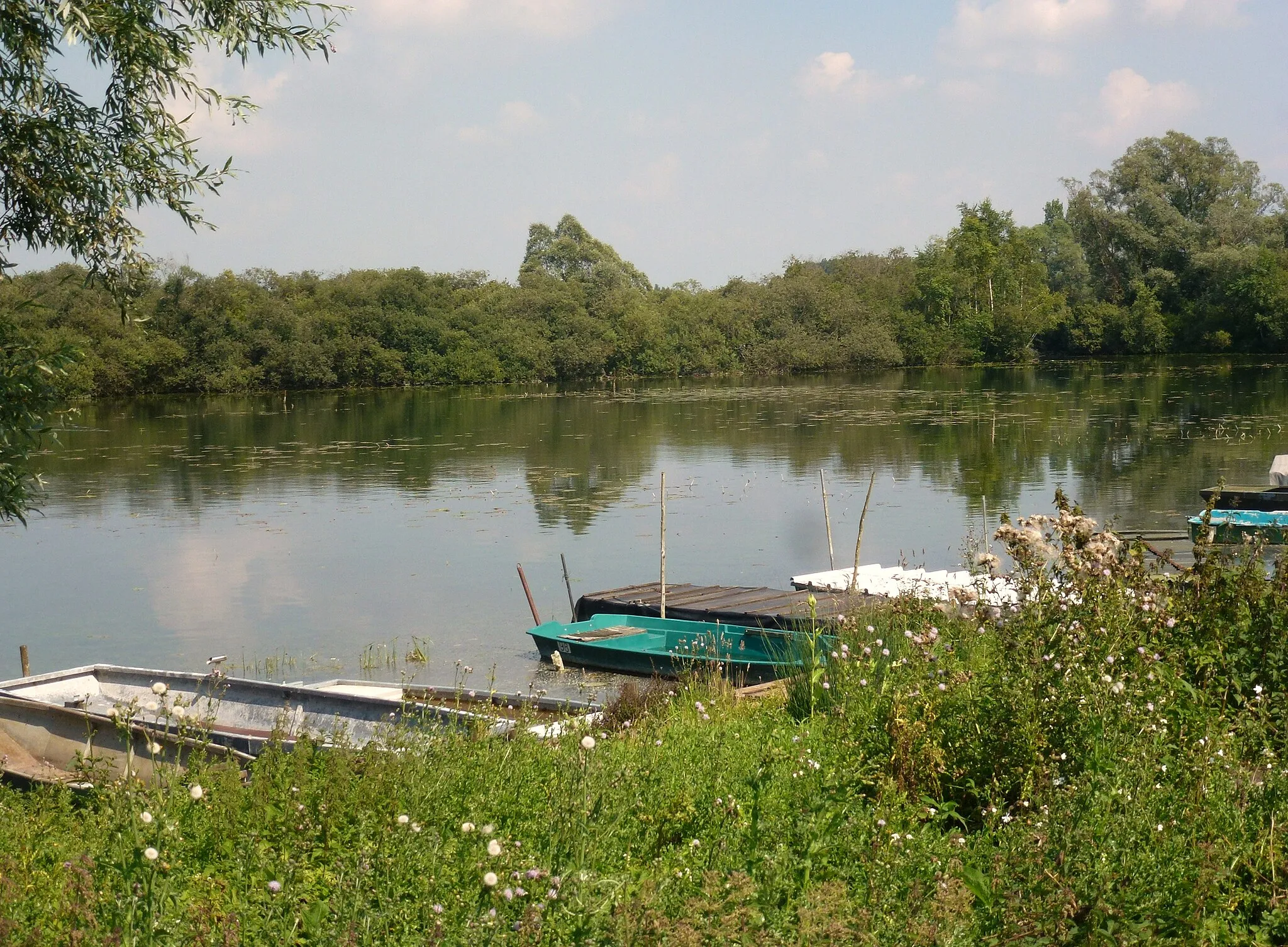 Photo showing: Randonnée autour du marais Écourt-Saint-Quentin Pas-de-Calais, Hauts-de-France France