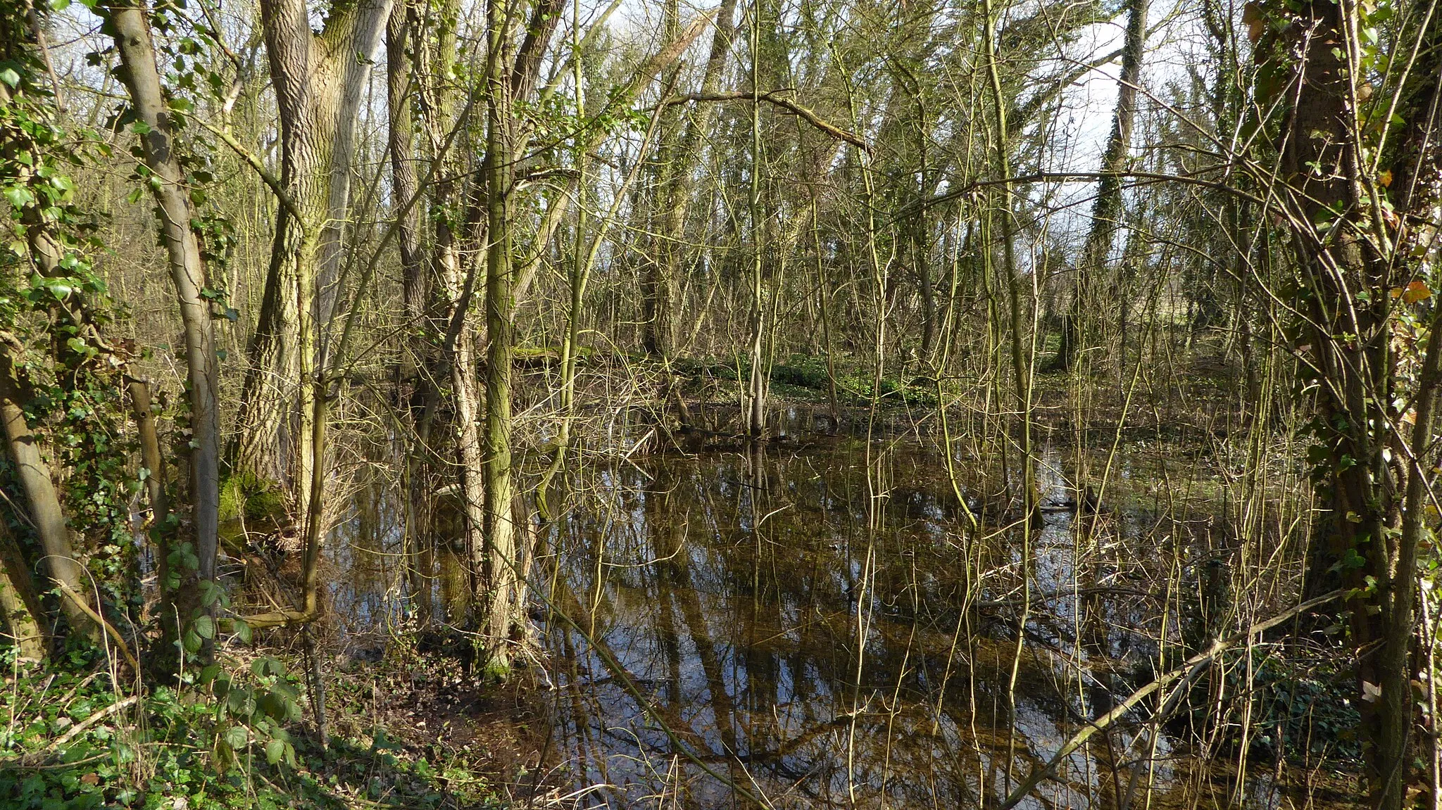 Photo showing: le chemin du Marais Bénifontaine, Pas-de-Calais, Nord-Pas-de-Calais-Picardie France.