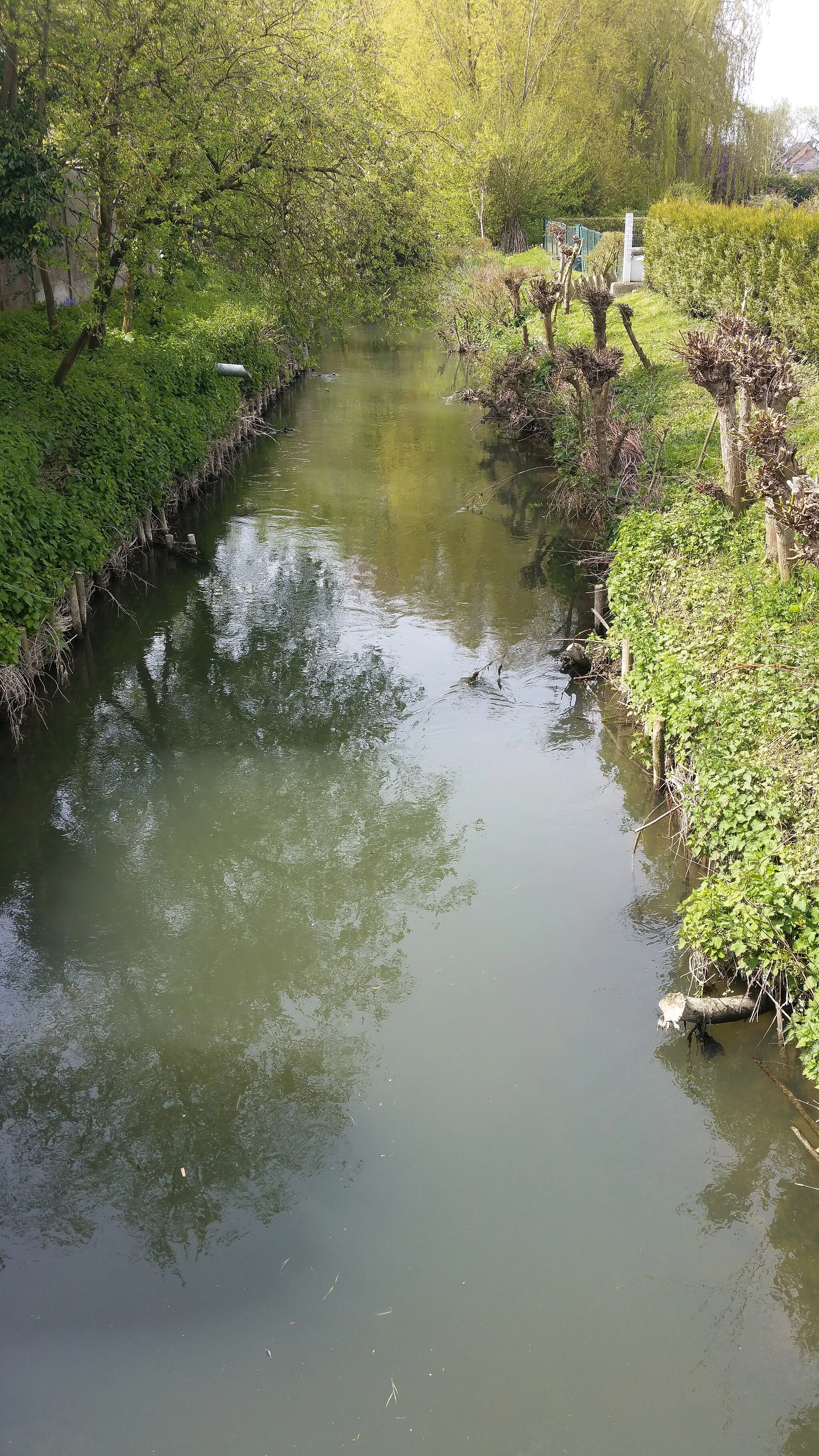 Photo showing: Vue de la Clarence à Calonne-sur-la-Lys.