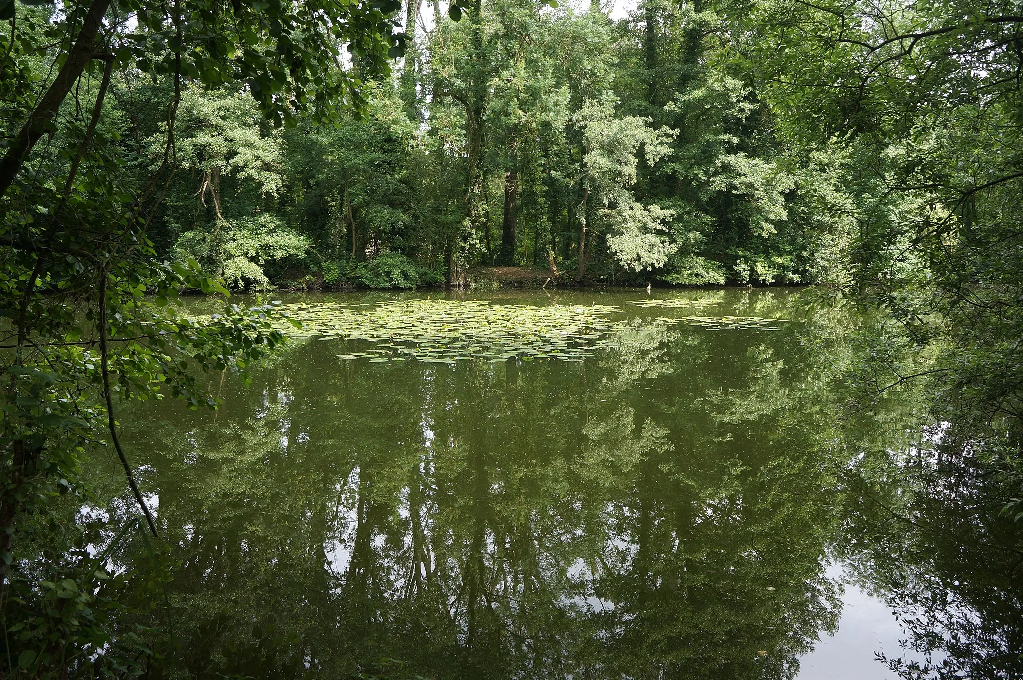 Photo showing: L'espace naturel départemental  (EDEN62) de Feuchy