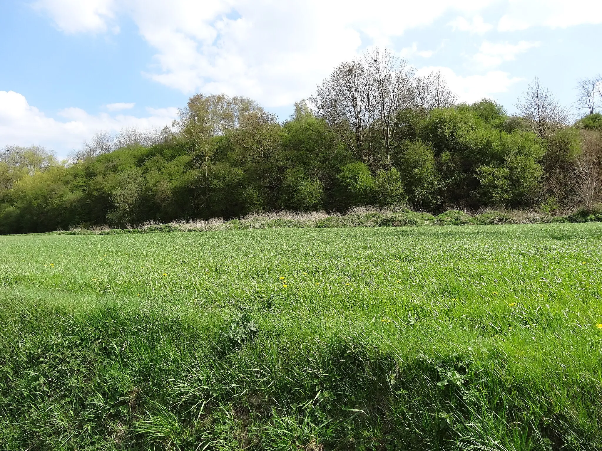 Photo showing: Terril n° 28 dit Fontenelle, centrale thermique de Gosnay de la Compagnie des mines de Bruay dans le bassin minier du Nord-Pas-de-Calais, Fouquereuil, Pas-de-Calais, Nord-Pas-de-Calais, France.