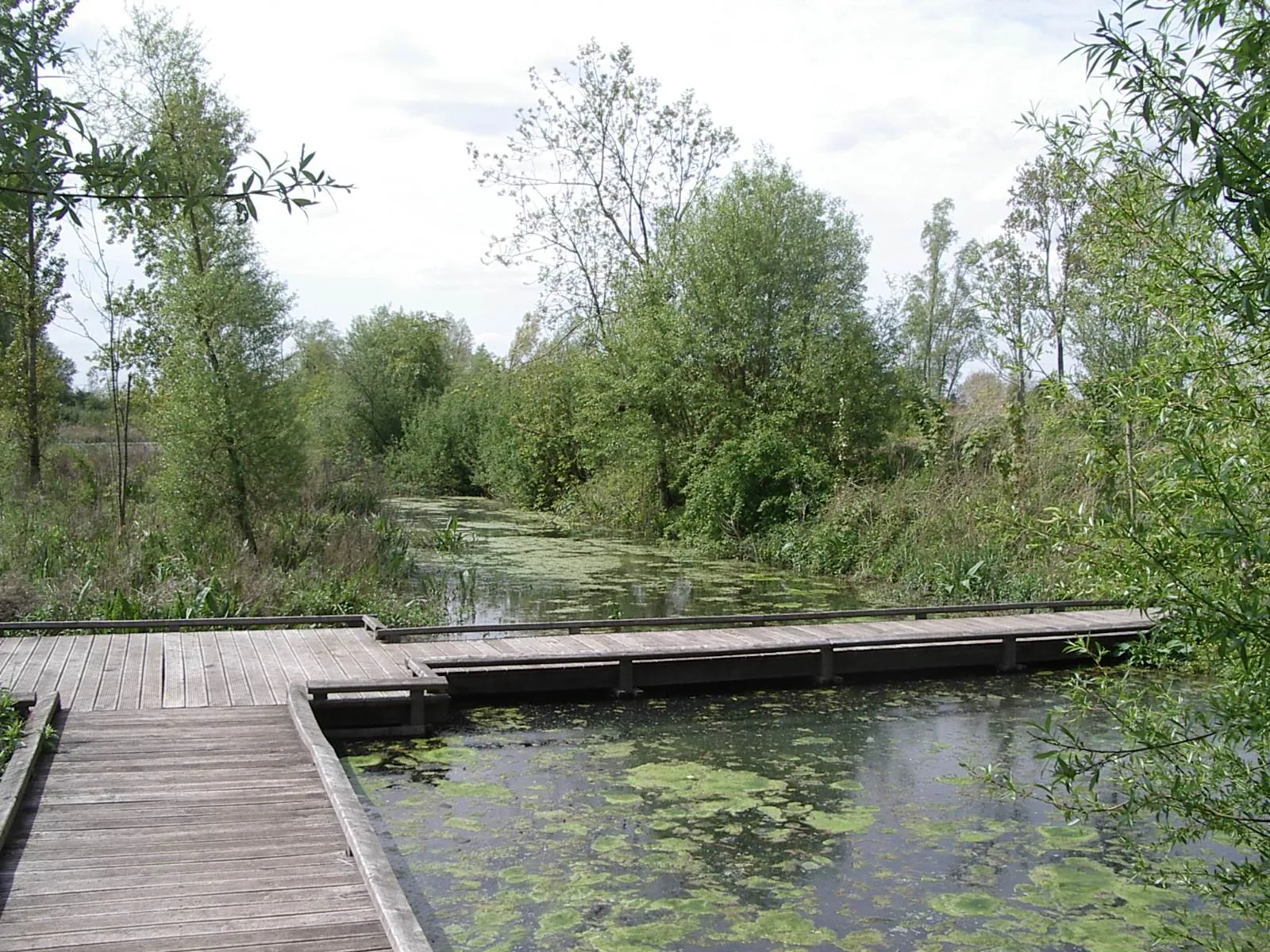 Photo showing: Le Marais de Bonance (Nord)