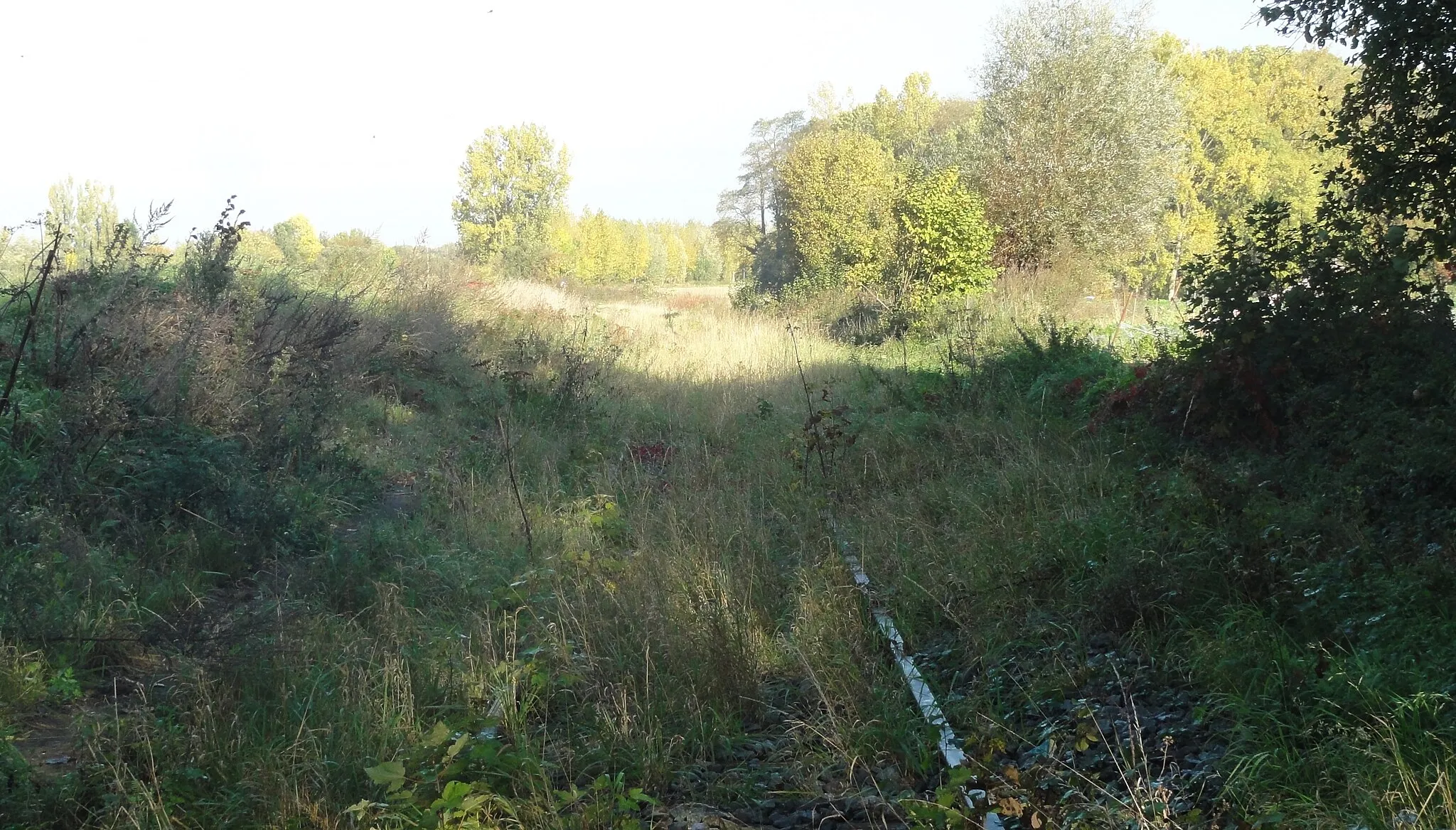 Photo showing: État de la section d'Orchies à Ascq de la ligne de Somain à Halluin au 15 octobre 2017. Reportage réalisé pour une prospective sur l'utilisation de cette section pour un service entre Comines-Belgique et Orchies via Lille-Flandres dans le cadre du Réseau Express Grand Lille.