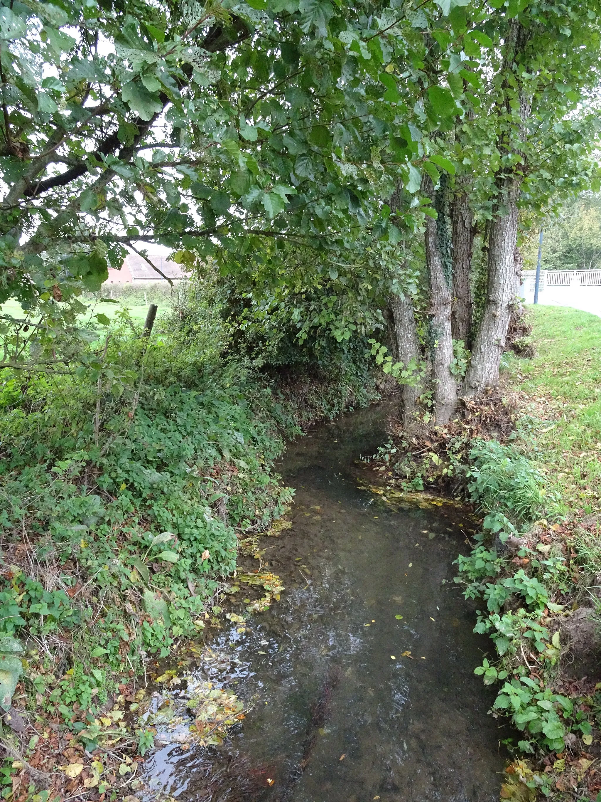 Photo showing: Le ruisseau de Caucourt affluent de la Brette à Gauchin-Légal Pas-de-Calais, Hauts-de-France France.