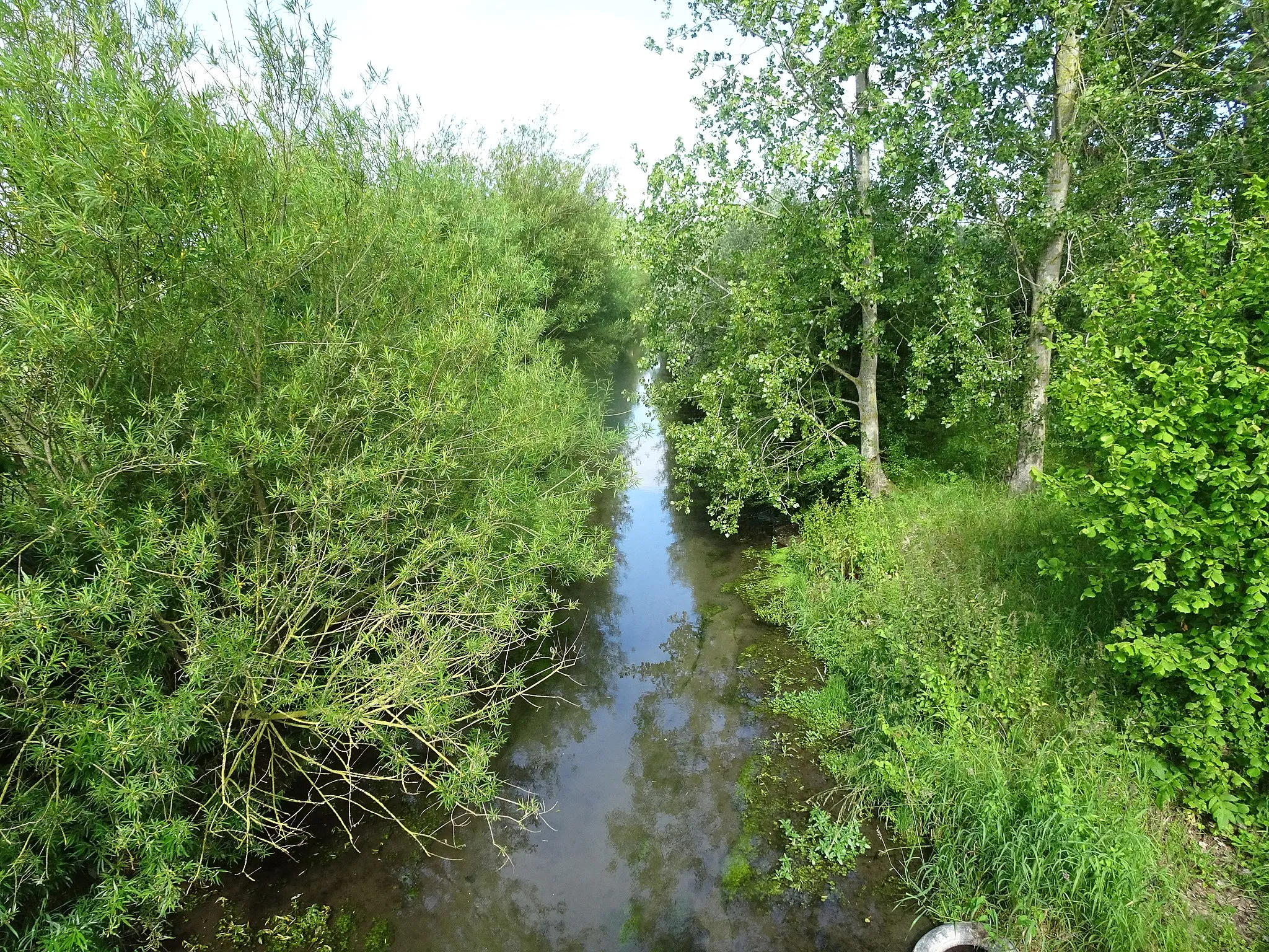 Photo showing: Le ruisseau de Guarbecque, à Ham-en-Artois, Pas-de-Calais, France.