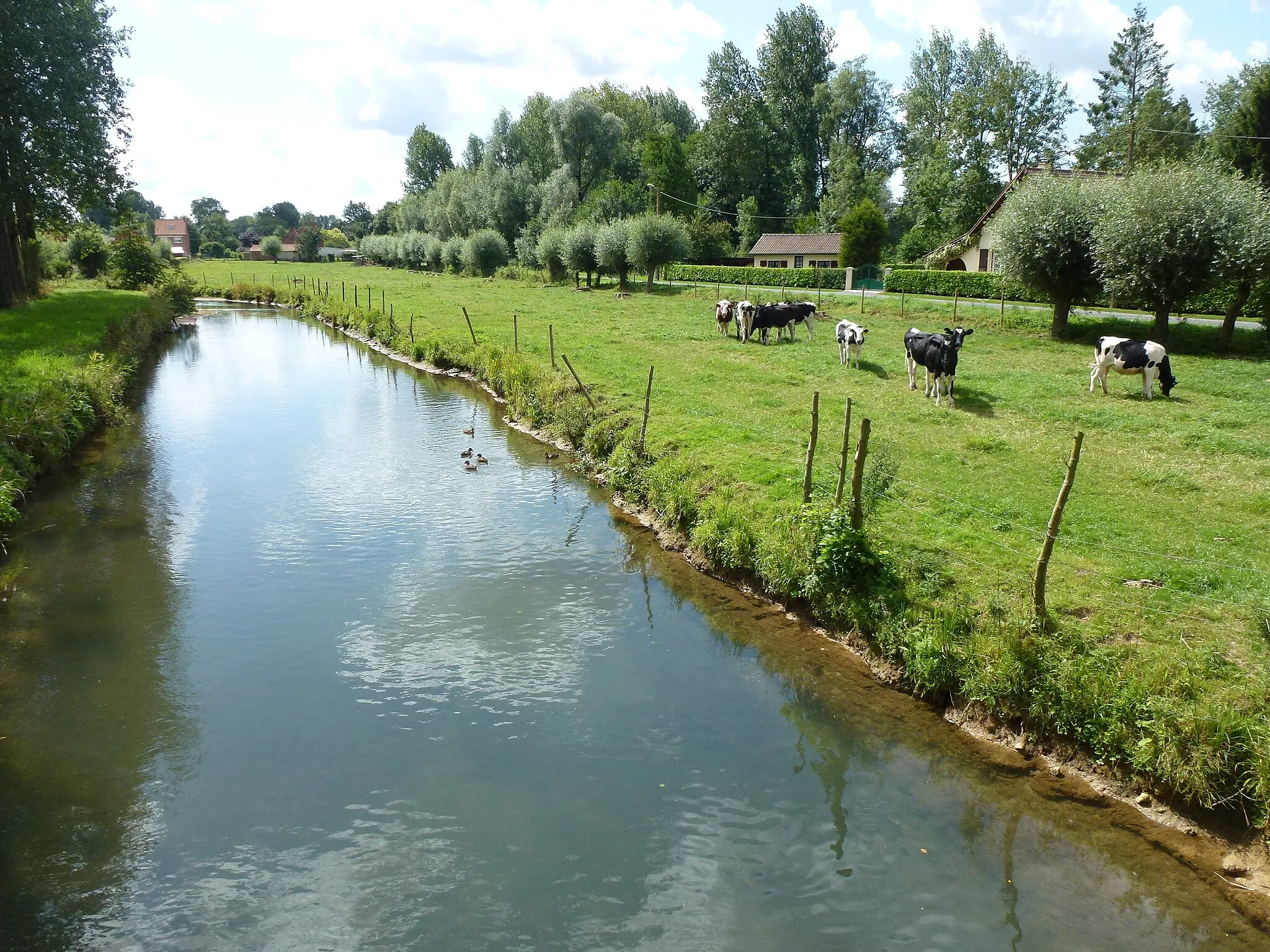Photo showing: Merck-Saint-Liévin (Pas-de-Calais, Fr) rivière Aa