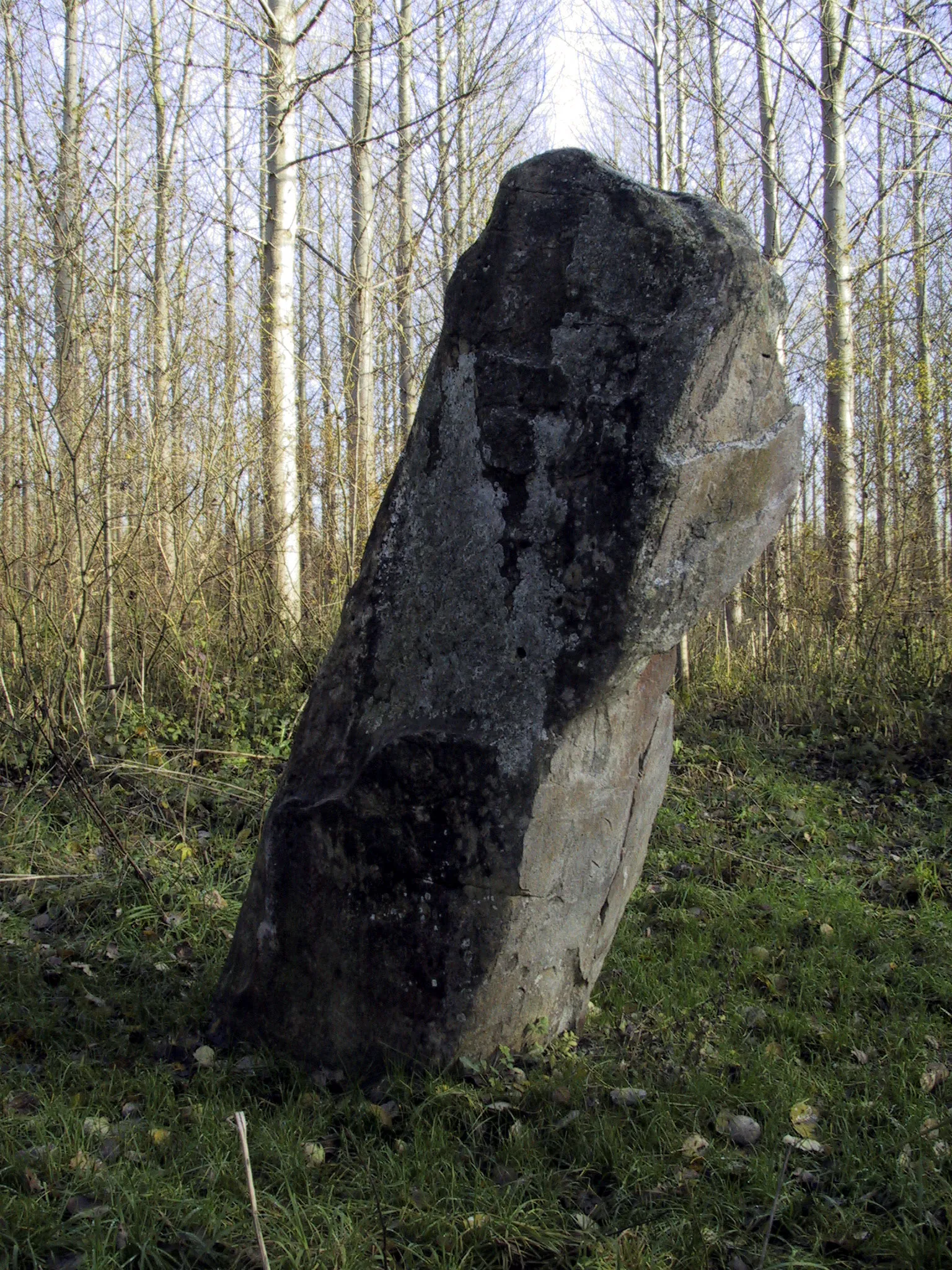 Photo showing: Le menhir est tout à fait surprenant grâce au Diable qui se pose dessus durant la nuit.