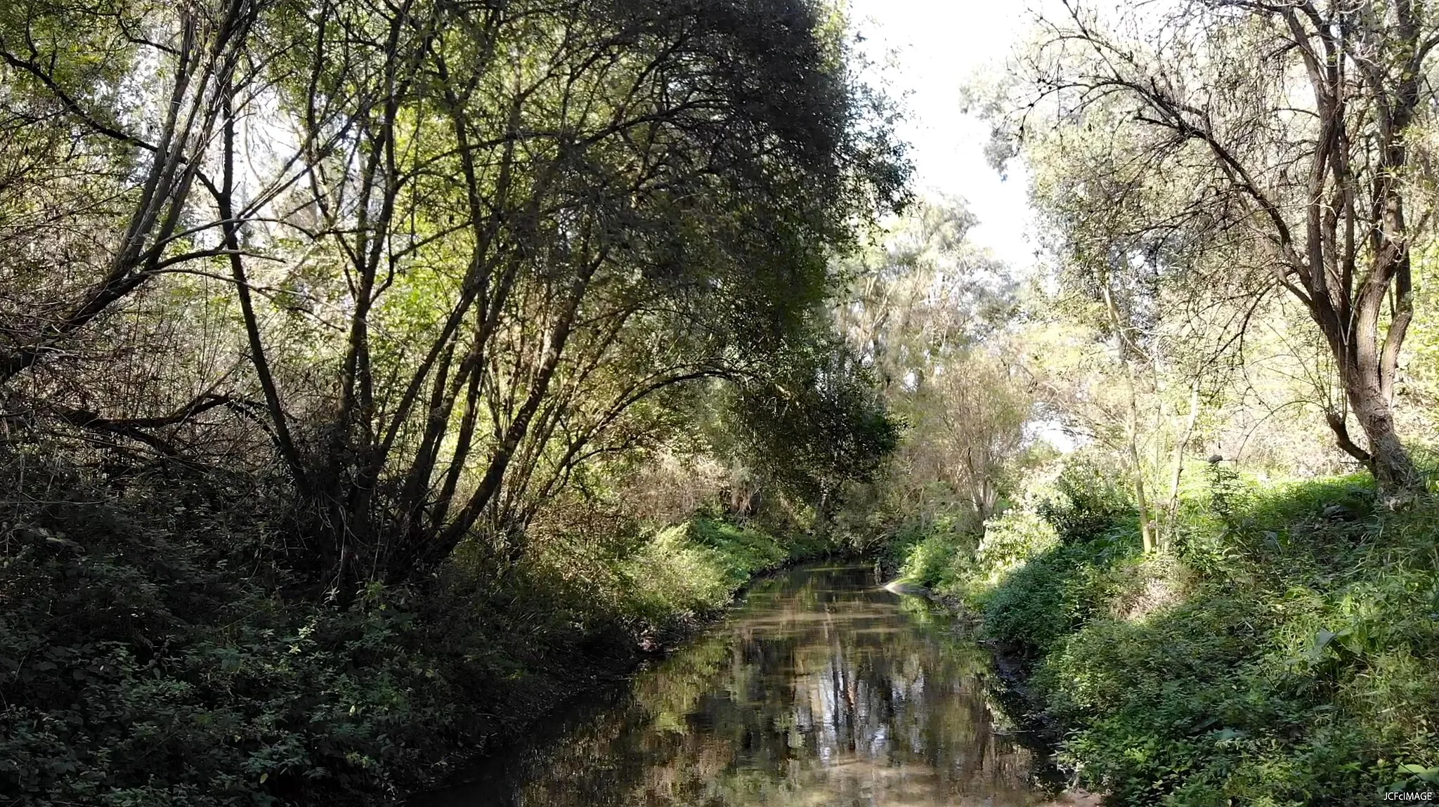 Photo showing: Présence de la Loisne à Verquigneul