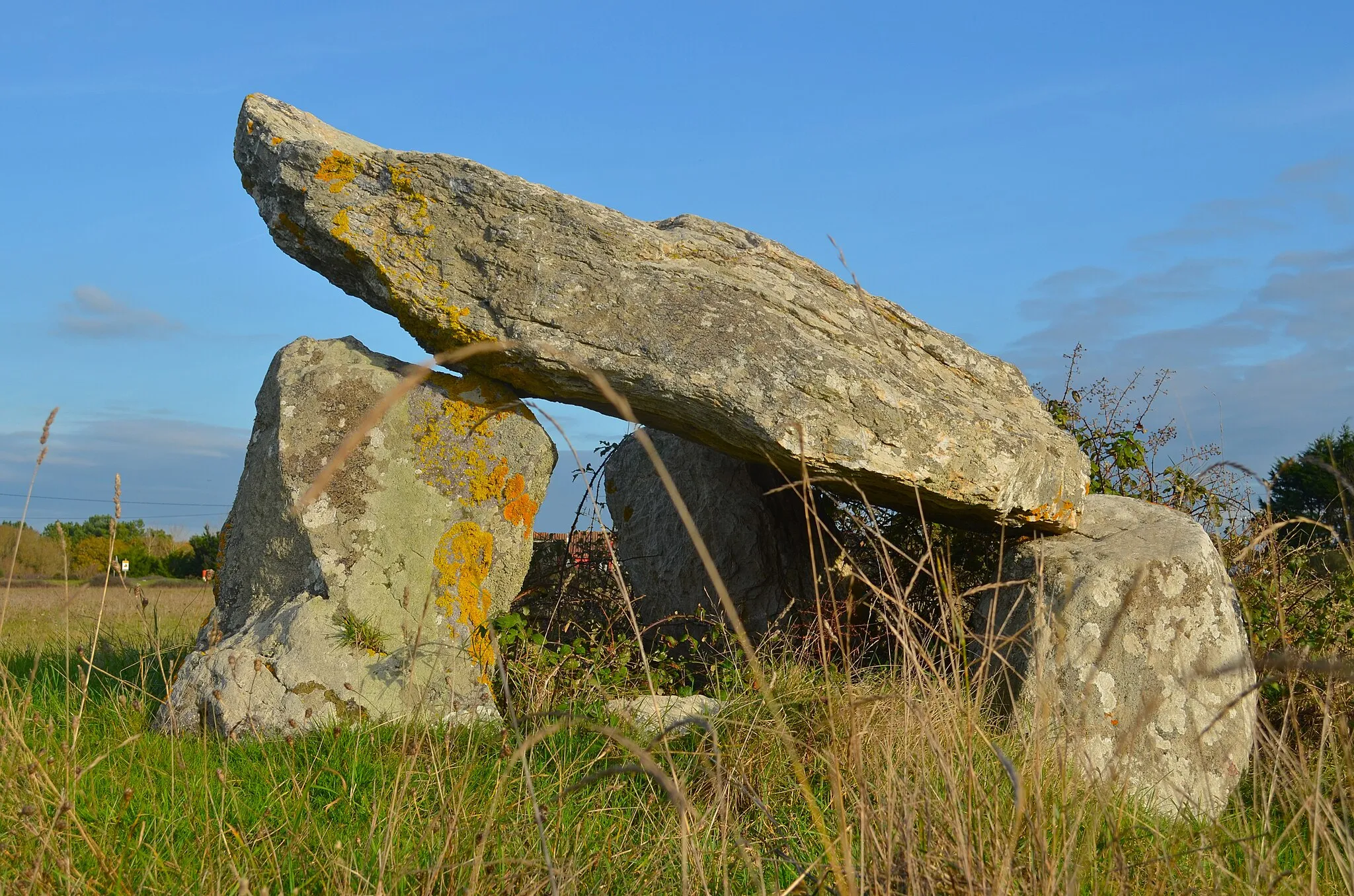 Photo showing: Dolmen de Pierre levée de Soubise - Brétignolles-sur-Mer (Vendée)