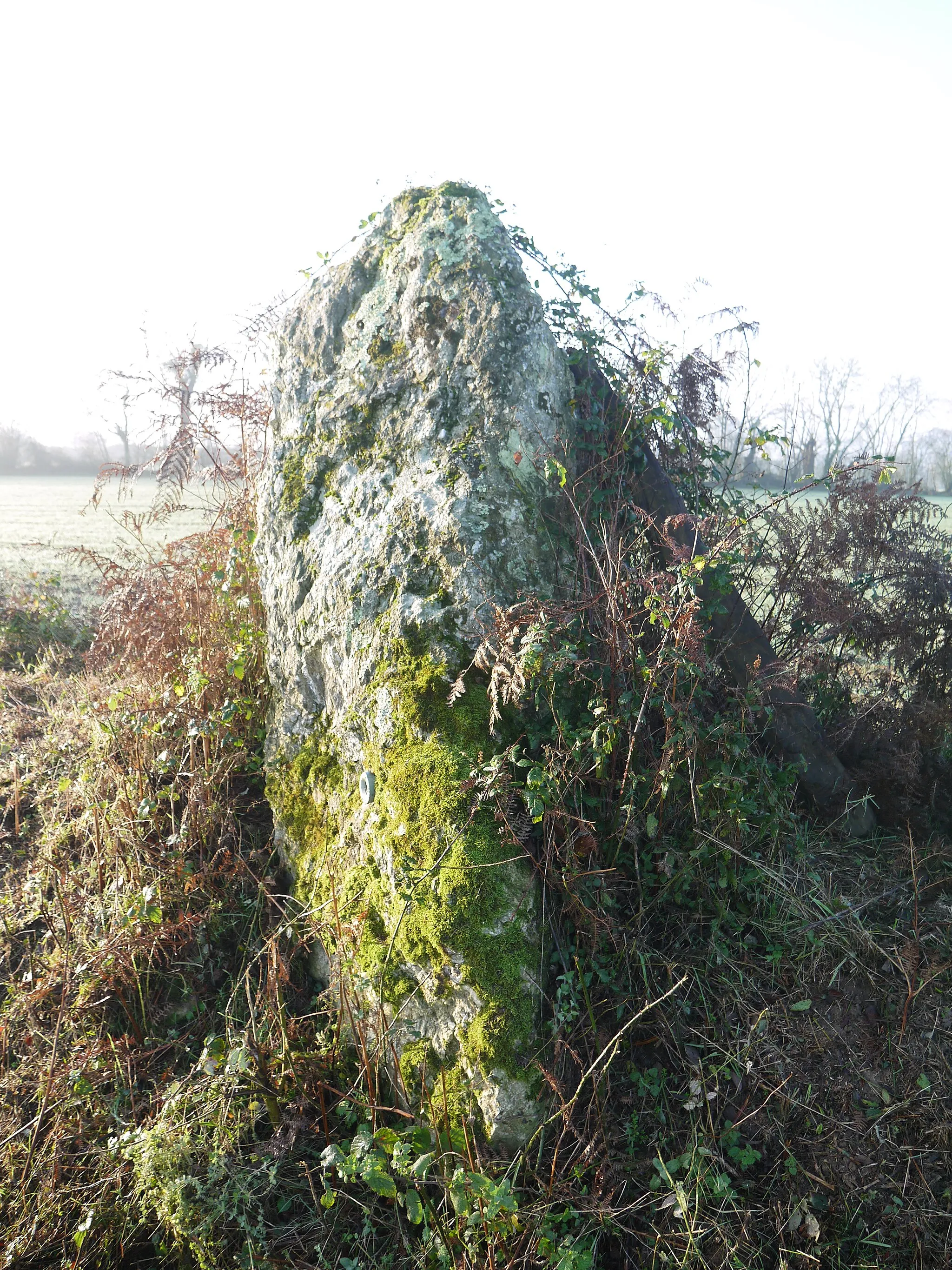 Photo showing: Le menhir.