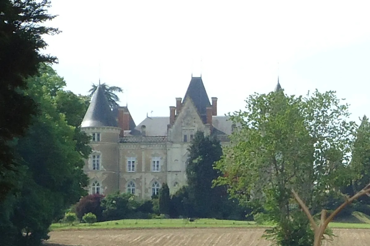 Photo showing: Château de la Roche-Mailly - Requeil - Sarthe (72)