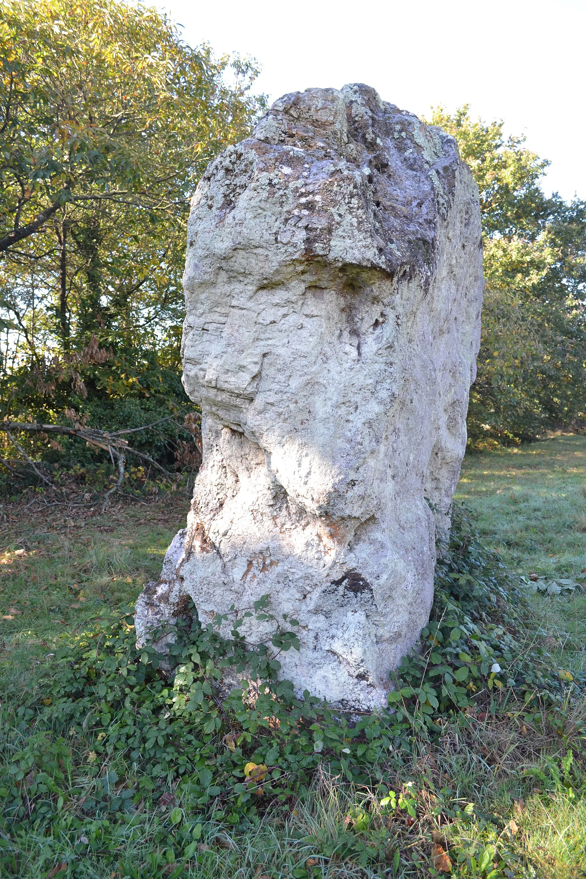 Photo showing: Menhir des Louères (vue de côté).