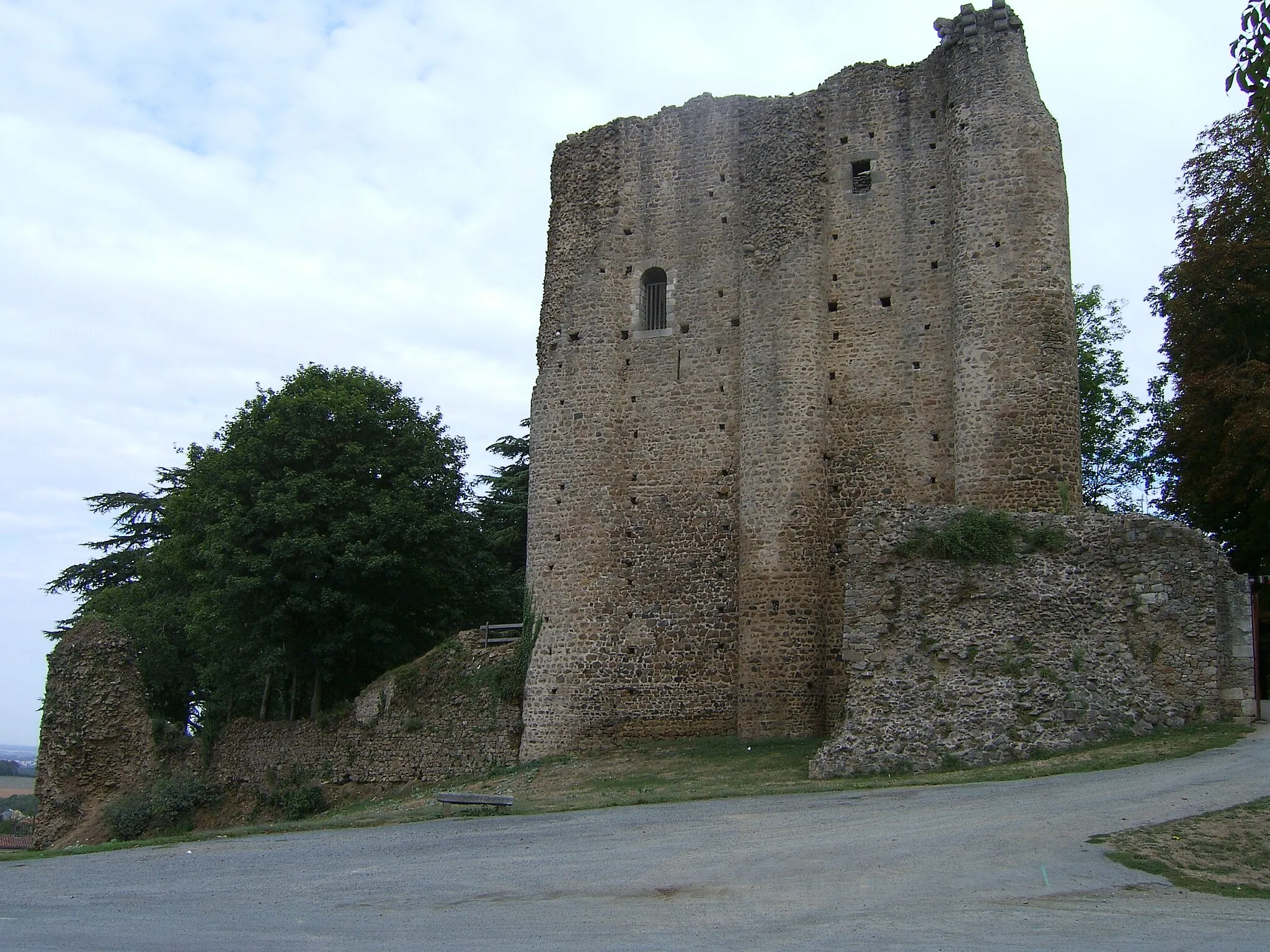 Photo showing: Les ruines du Château médiéval dominent le centre-ville.