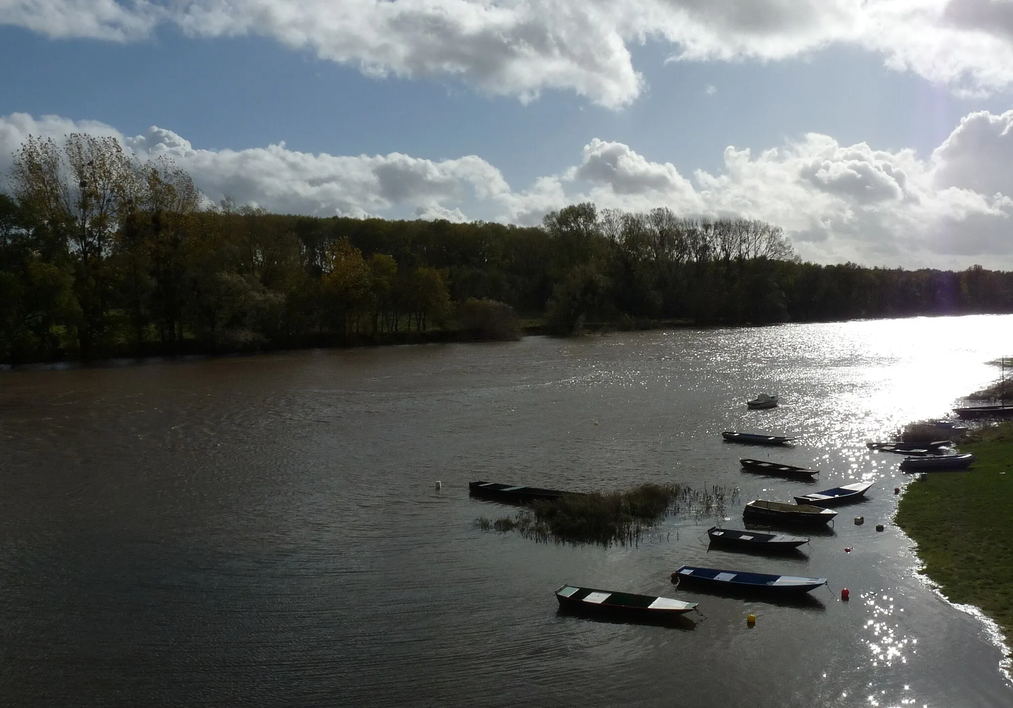 Photo showing: La Maine à Bouchemaine (49).