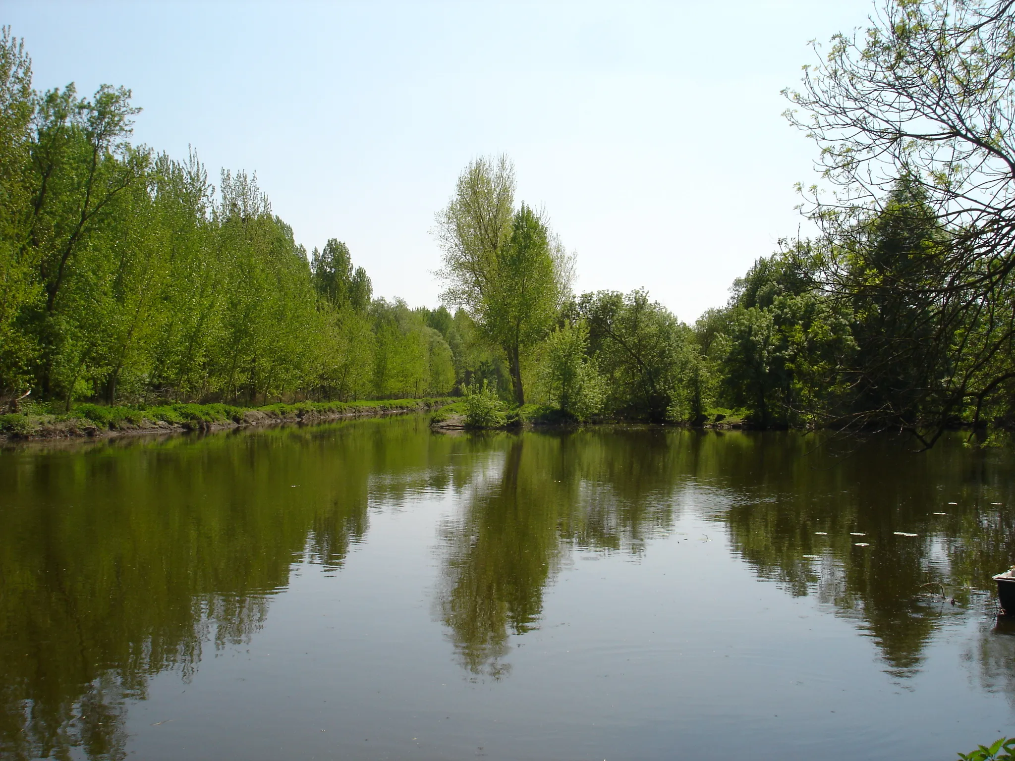 Photo showing: Le confluent du Thouet et de la Dive à Saint-Just-sur-Dive (Maine-et-Loire, France).