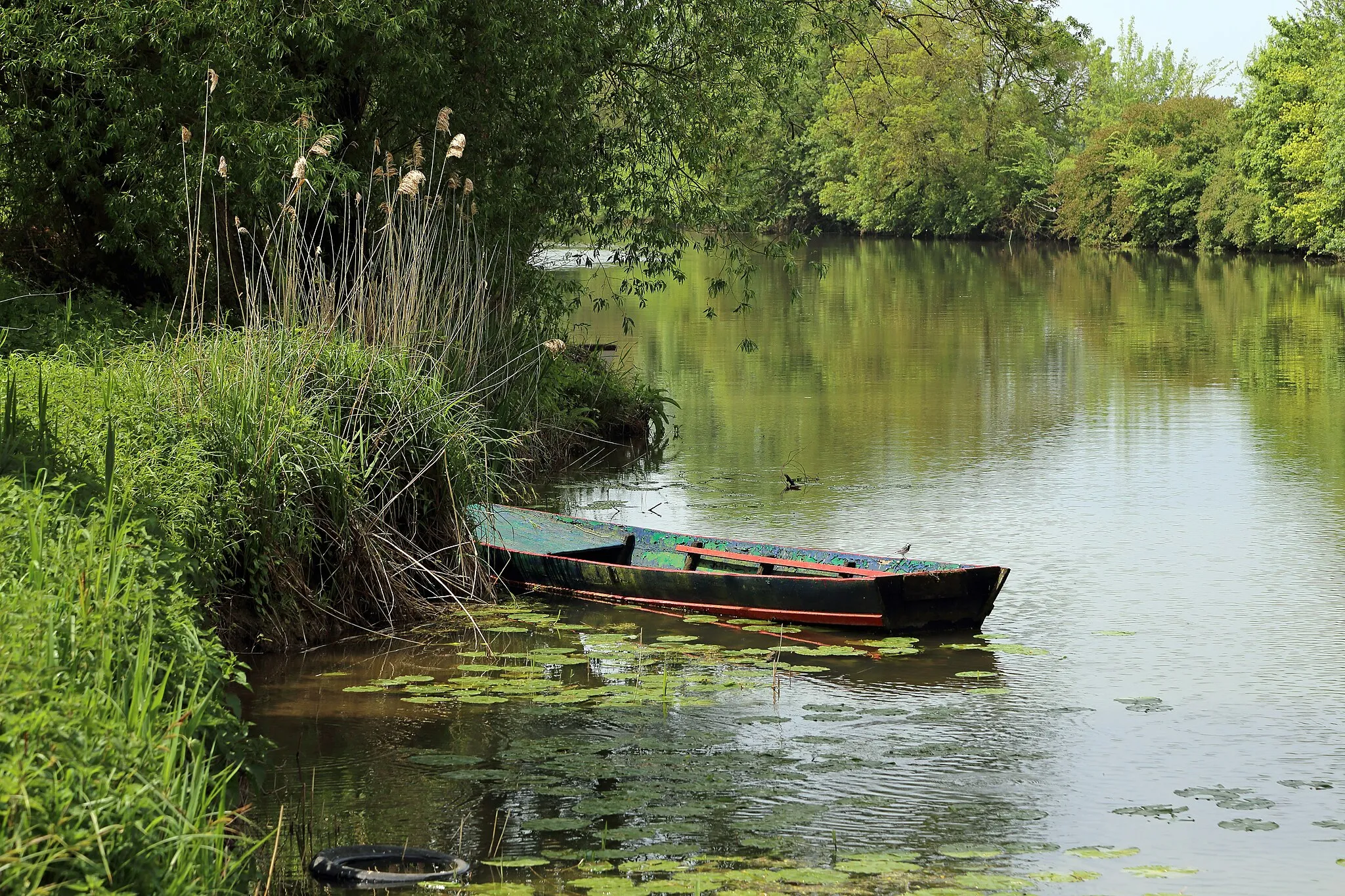 Photo showing: The Loir river near the village of La Chapelle-aux-Choux (département de la Sarthe, France)