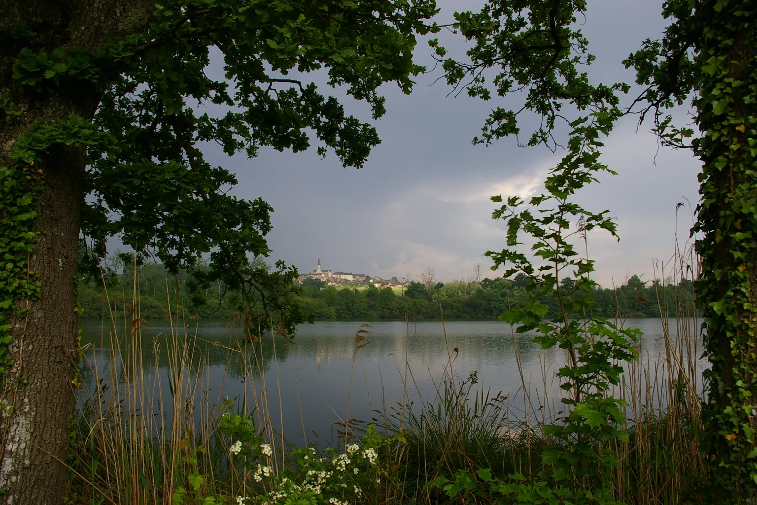 Photo showing: Etang de la Chartreuse du Parc d'Orques (Saint-Denis d'Orques, sarthe))