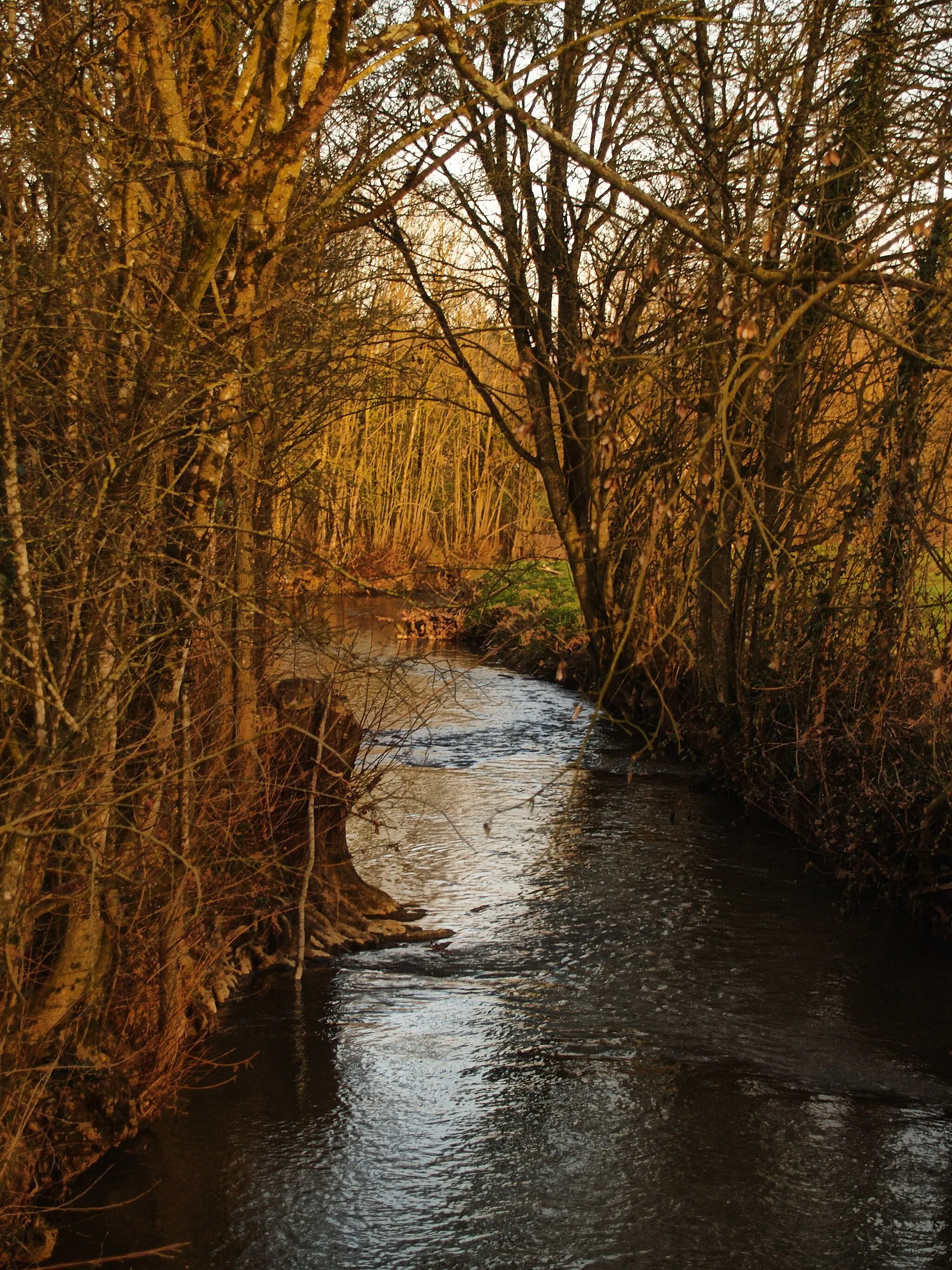 Photo showing: La Taude, avant le bief de Souvigné-sur-Sarthe en hiver.