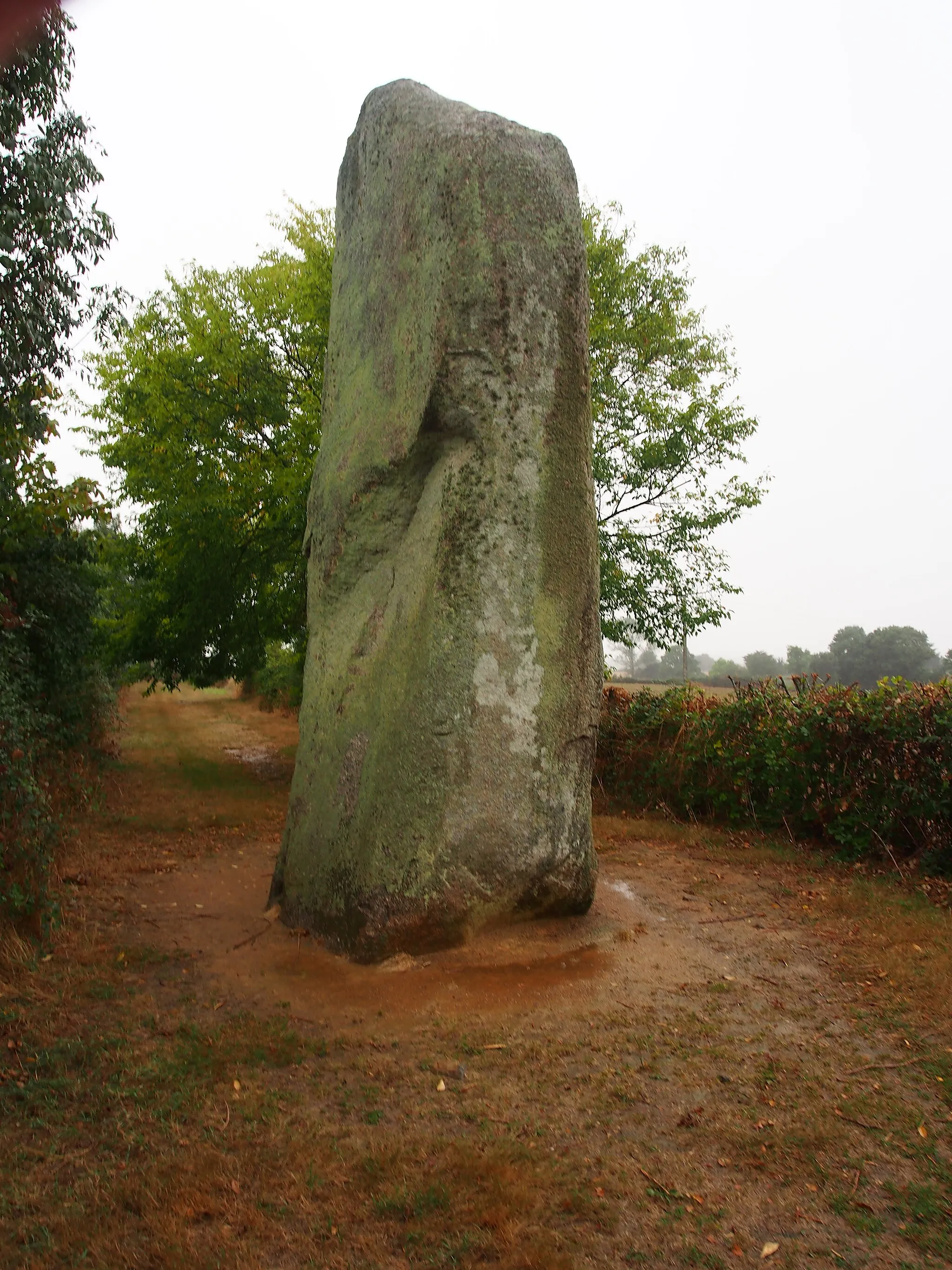 Photo showing: Photographed in France.