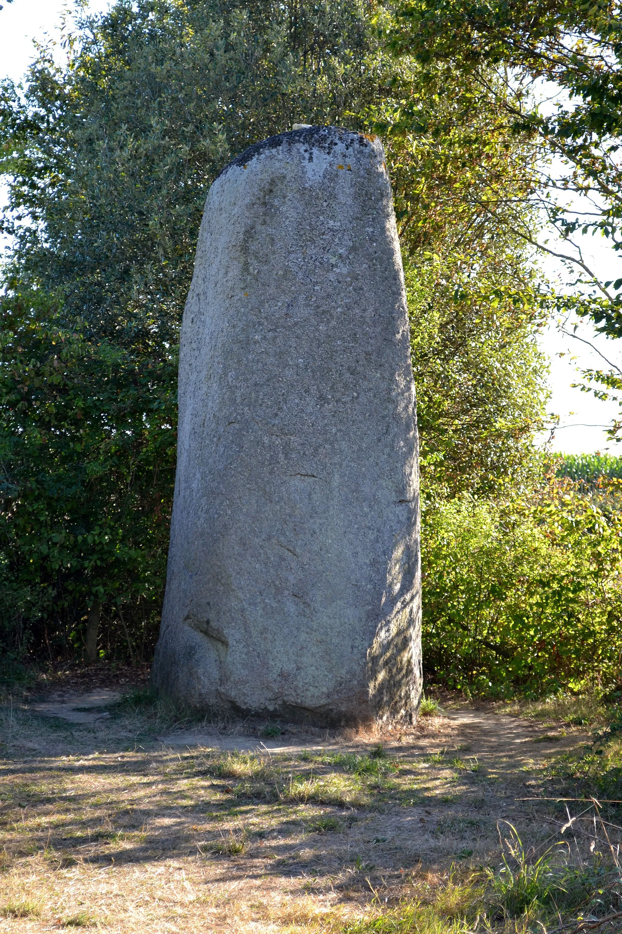 Photo showing: Petit menhir du Plessis sur la commune de Le Bernard (85)