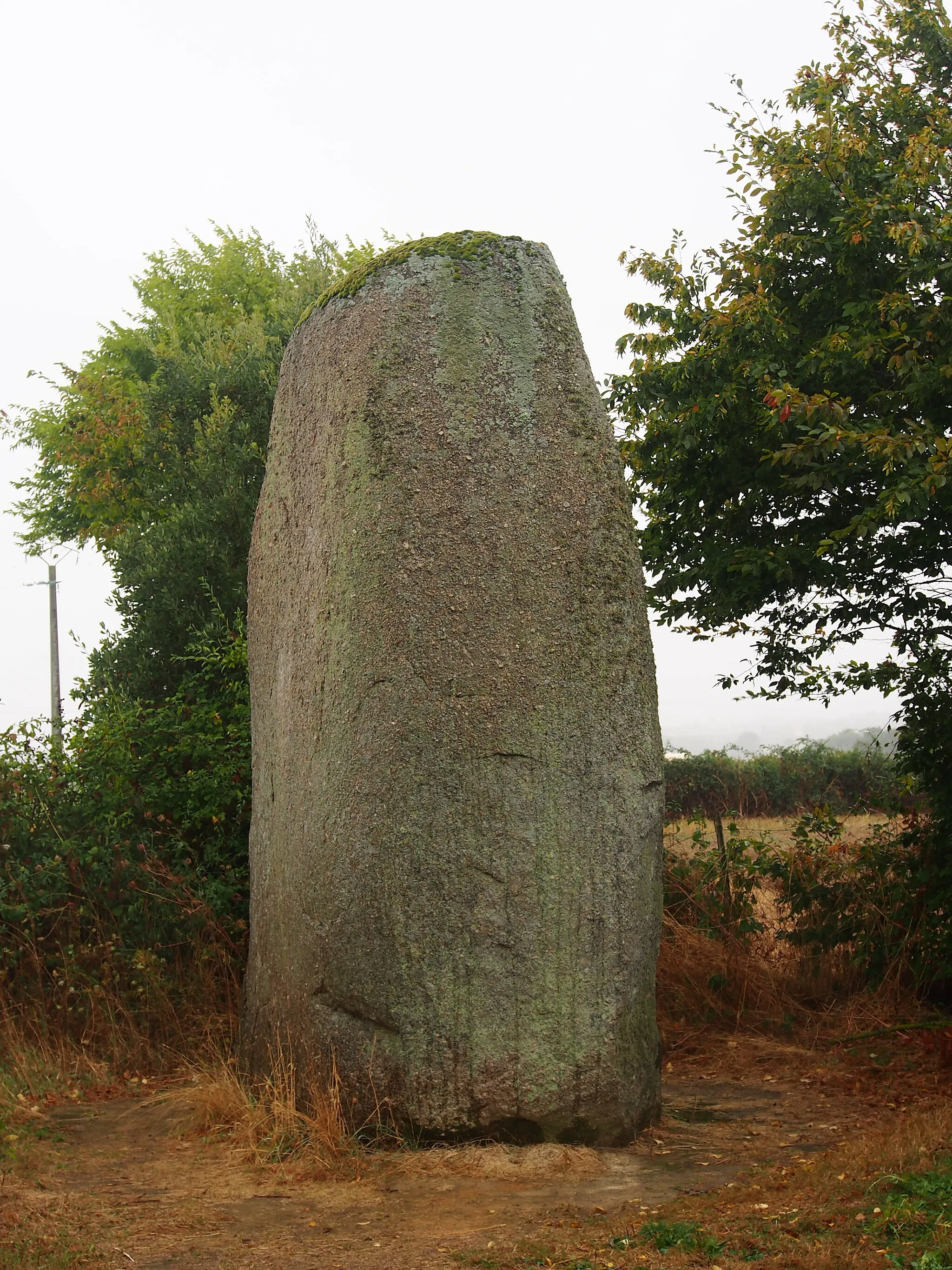 Photo showing: Photographed in France.