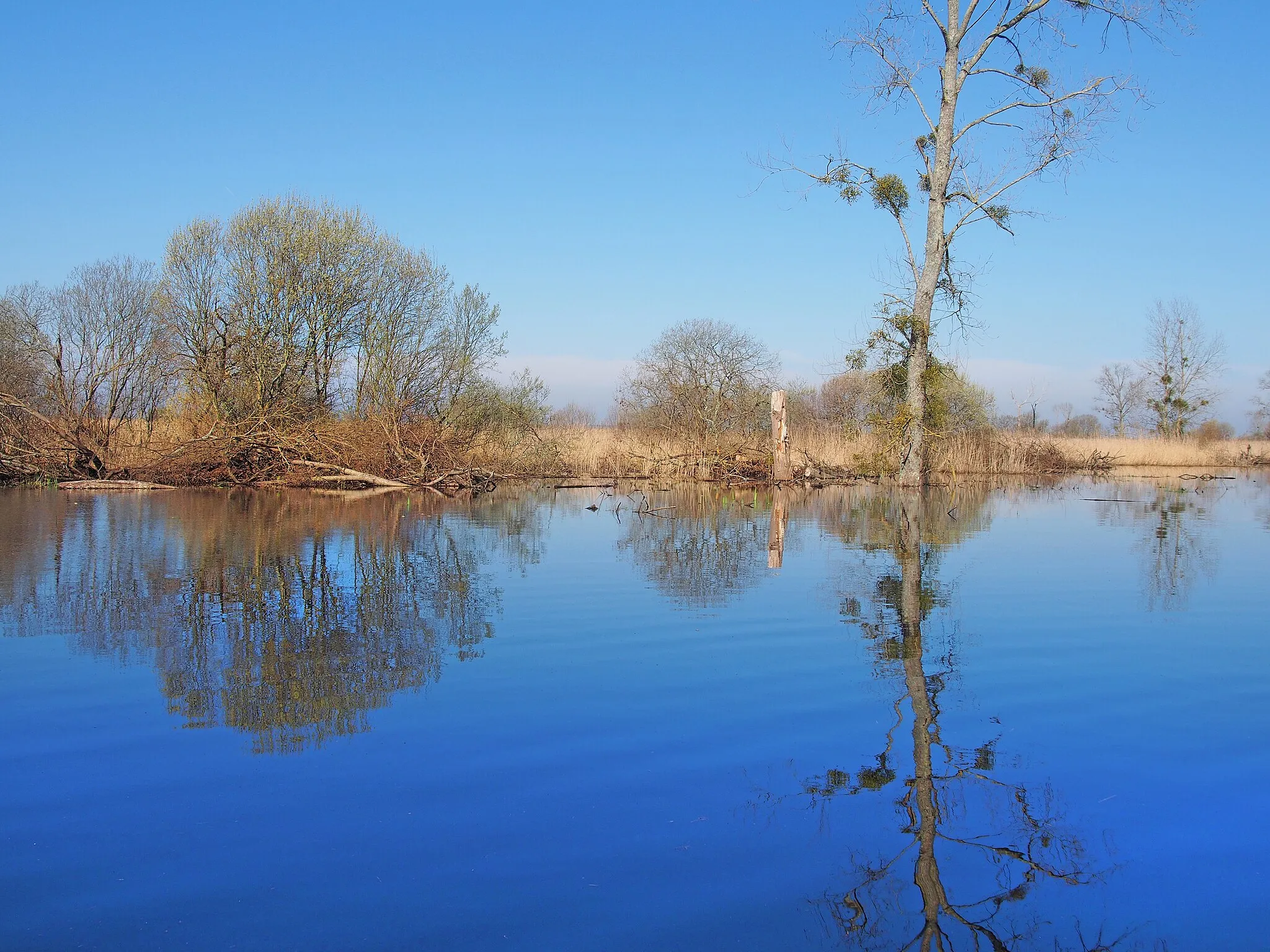 Photo showing: Le Parc naturel régional de la Brière : les Marais Indivis de Grande Brière Mottière (région : Pays de la Loire, département : Loire-Atlantique, commune : Saint-Joachim).