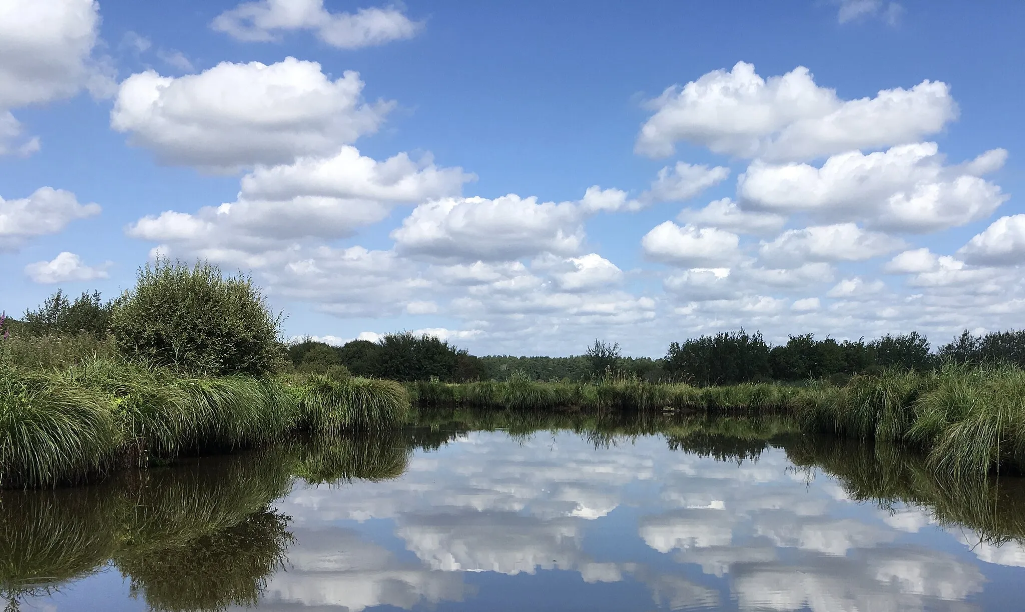 Photo showing: Marais de Brière, sur le territoire de la commune de Saint-Joachim (Loire-Atlantique, Pays de la Loire, France), à proximité du port de Bréca.