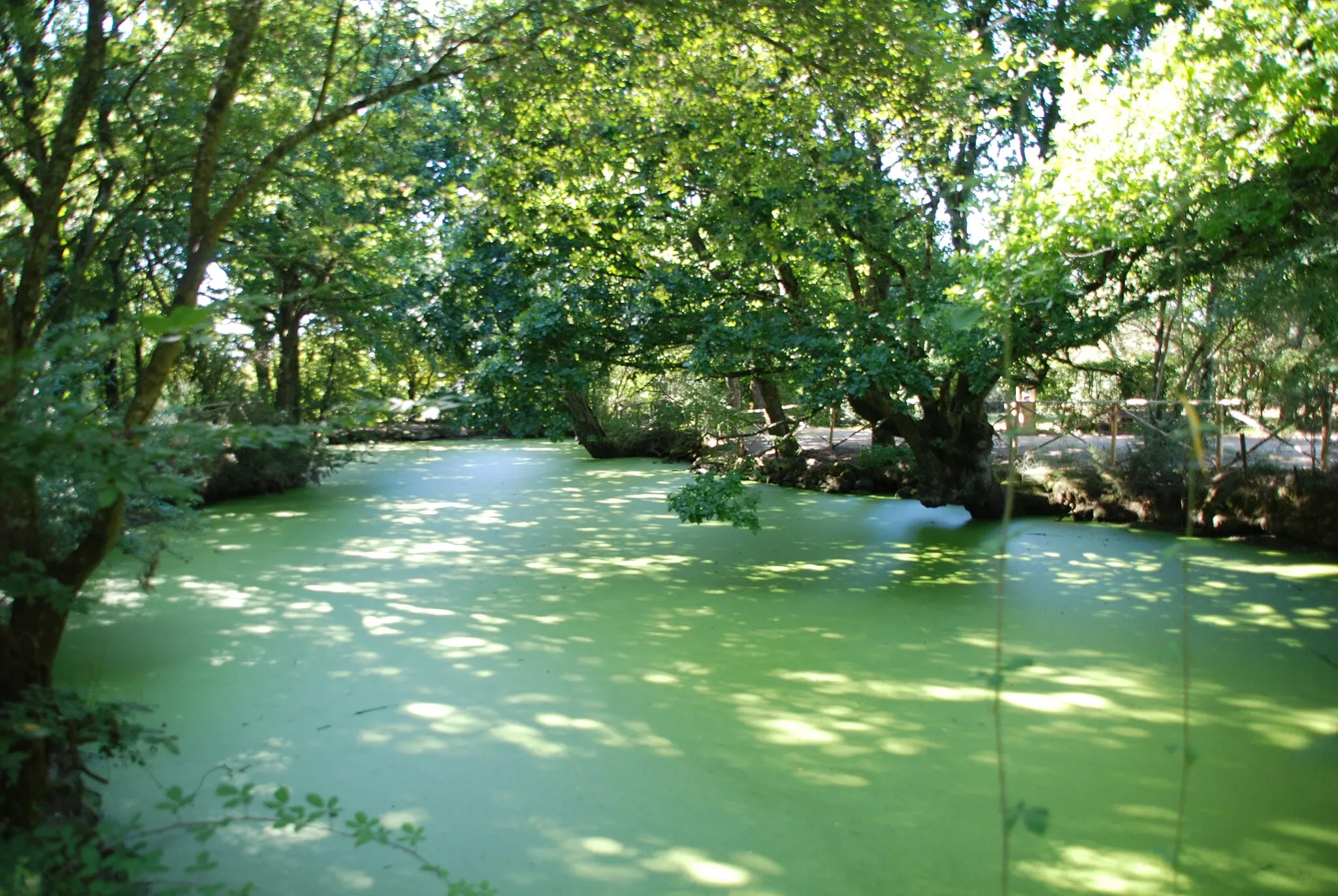 Photo showing: étang à Kerhinet