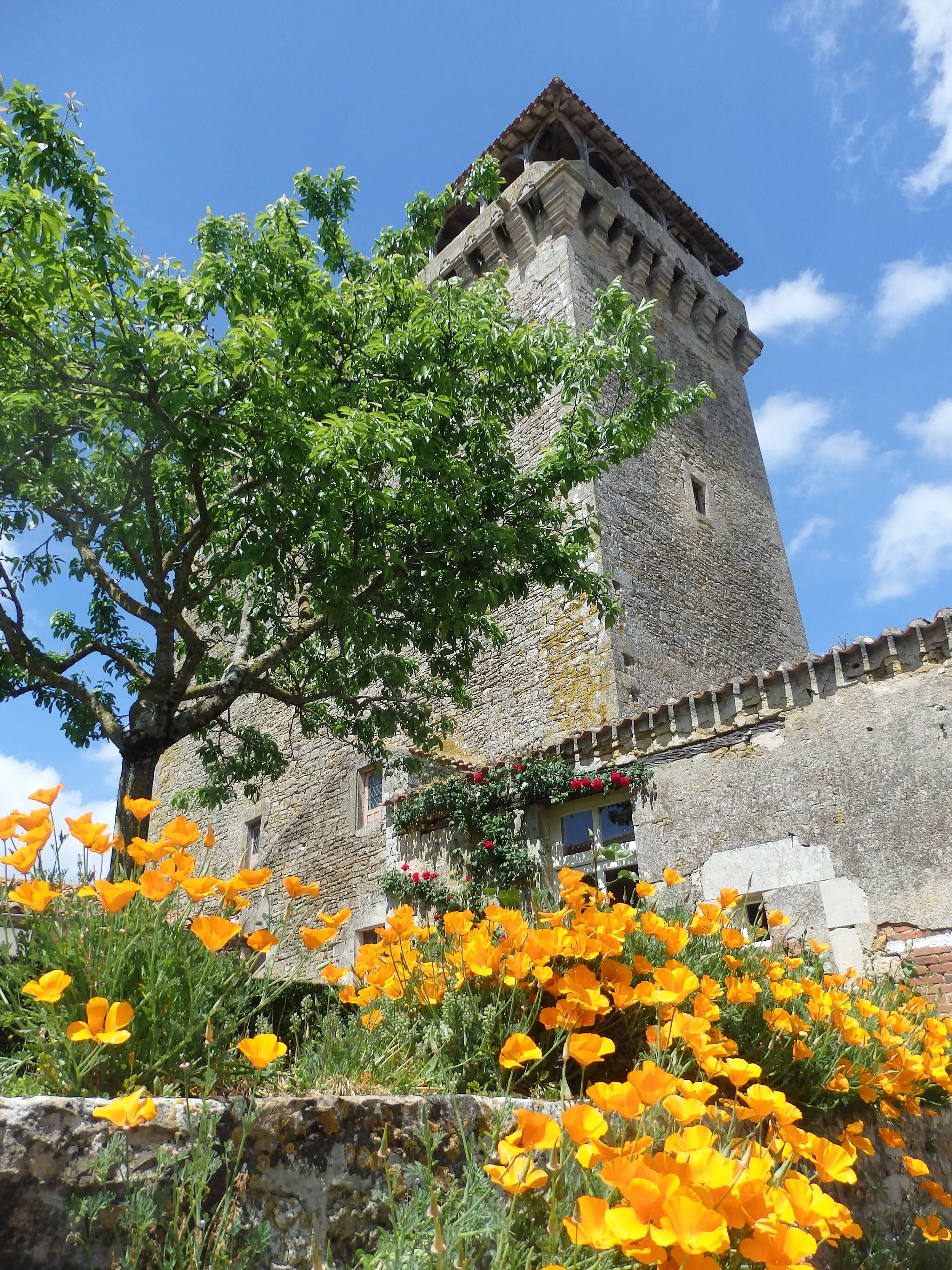 Photo showing: Donjon médiéval de Bazoges-en-Pareds