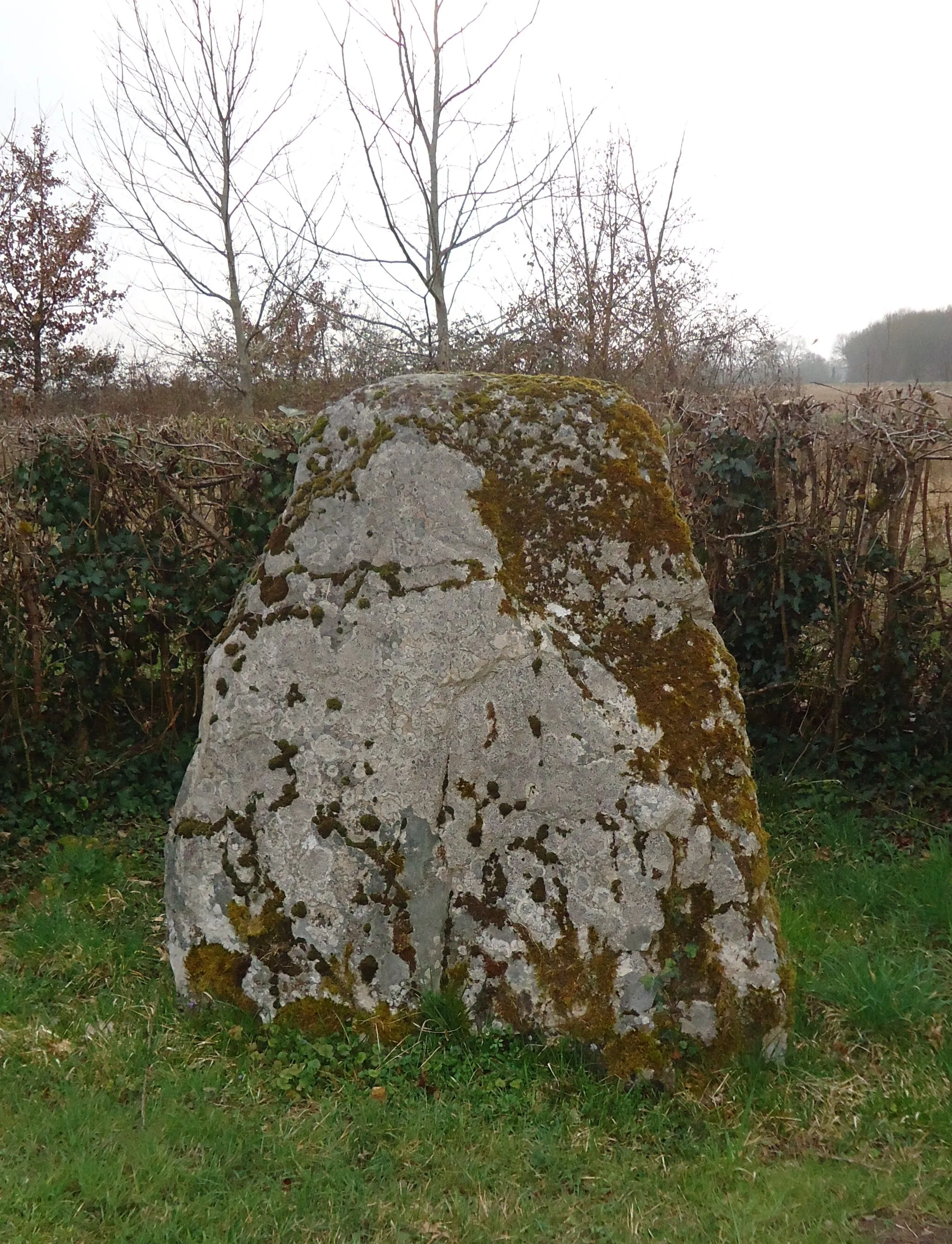 Photo showing: Menhir de Lorrière - Dissé-sous-le-Lude - Sarthe (72)
