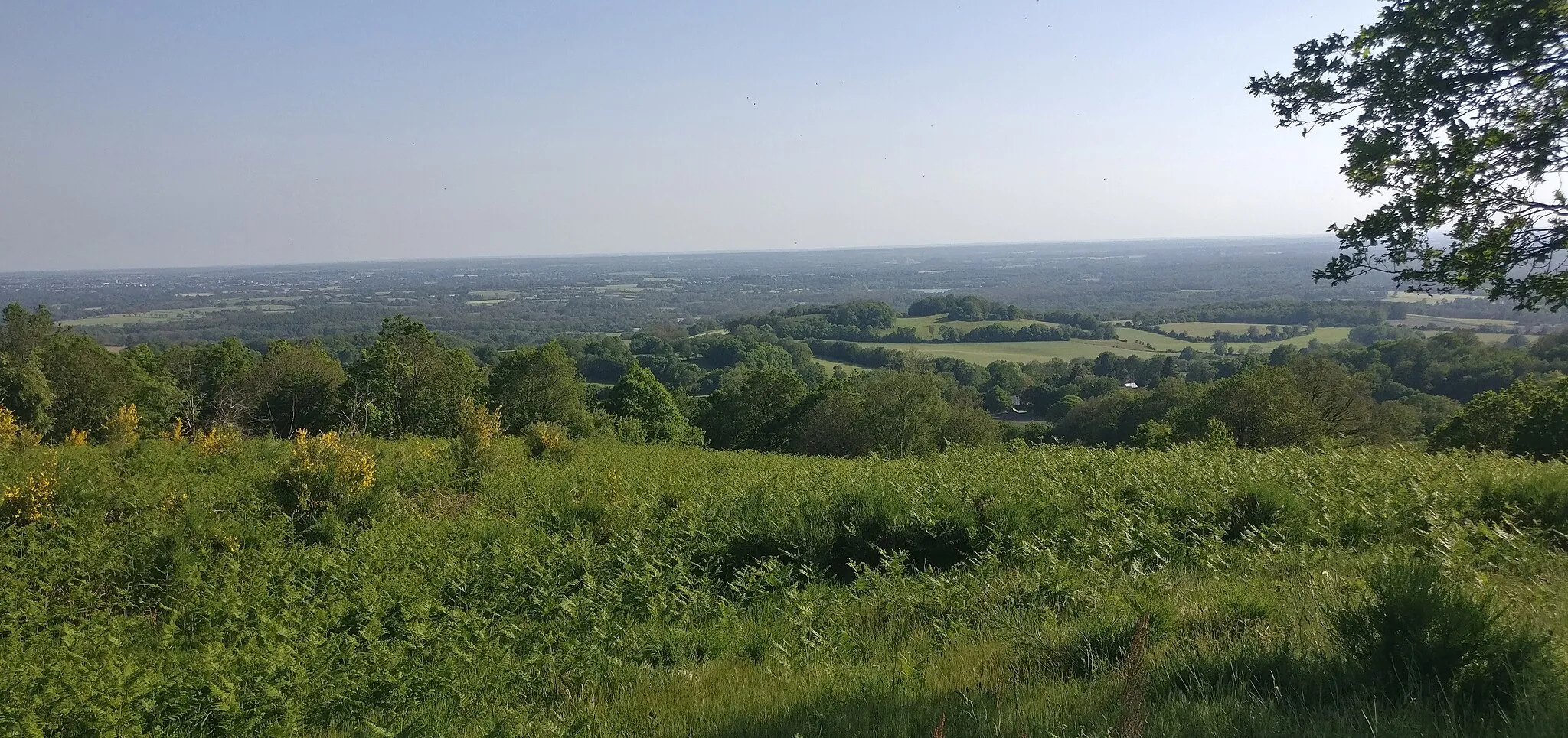 Photo showing: Panorama depuis le site du Montaigu, Hambers, Mayenne, France.