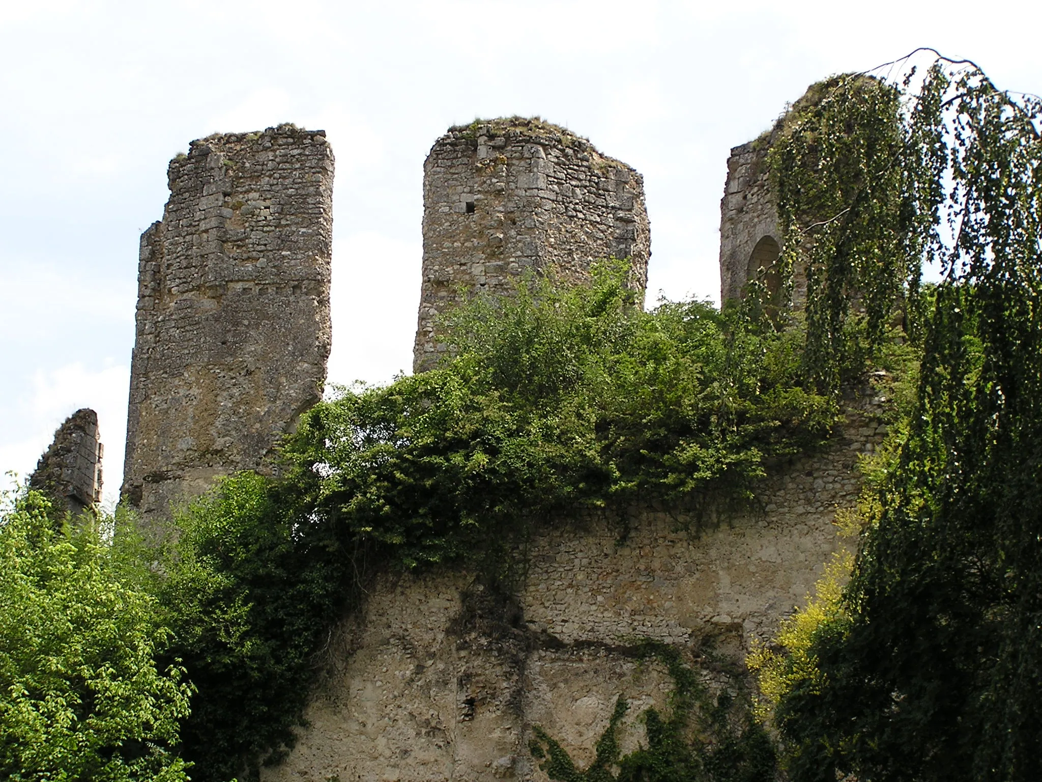 Photo showing: Ruins of the castle at Vendôme