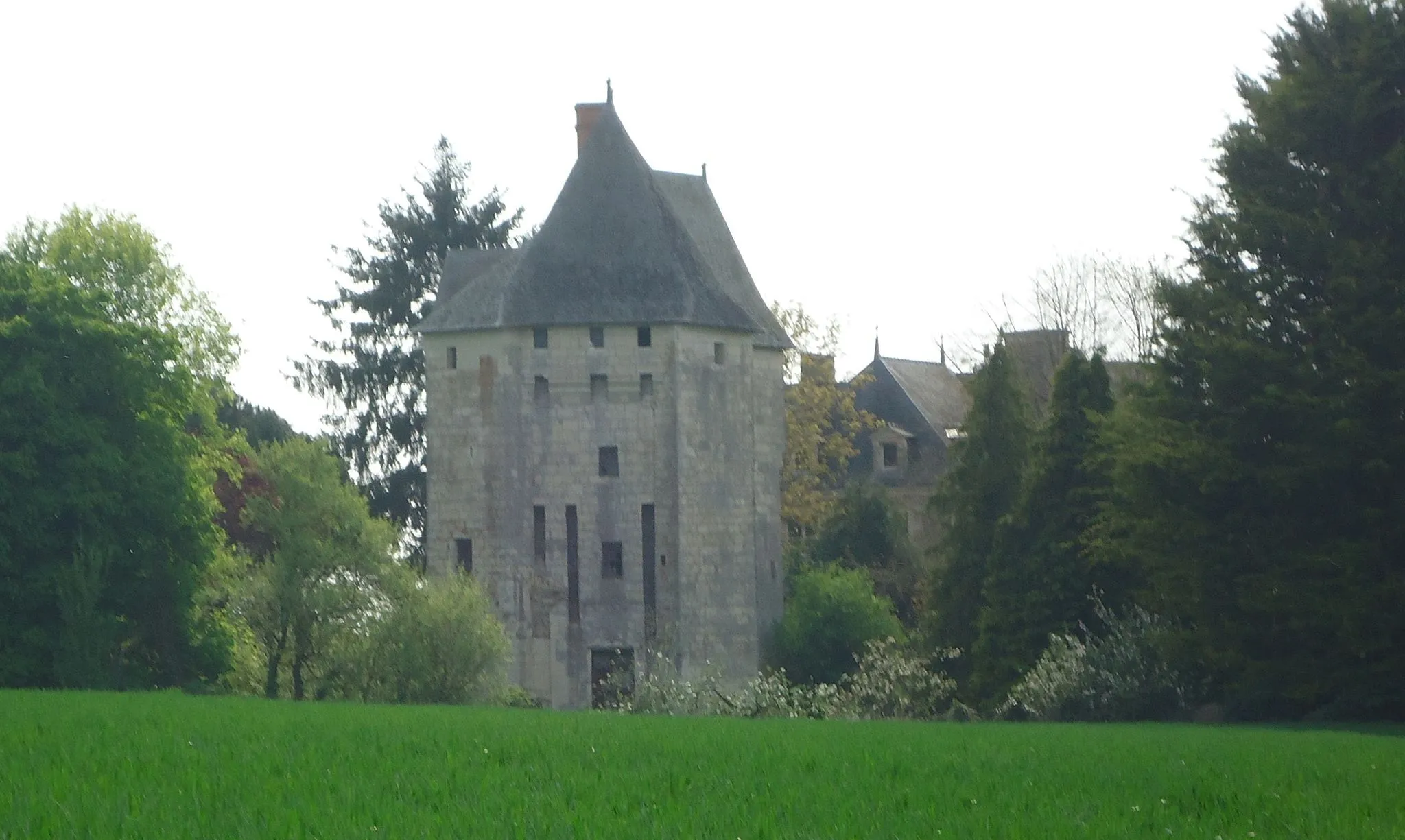 Photo showing: Château du Fort-des-Salles, XIVe, XVe & XVIIIe (Part MH & ISMH)