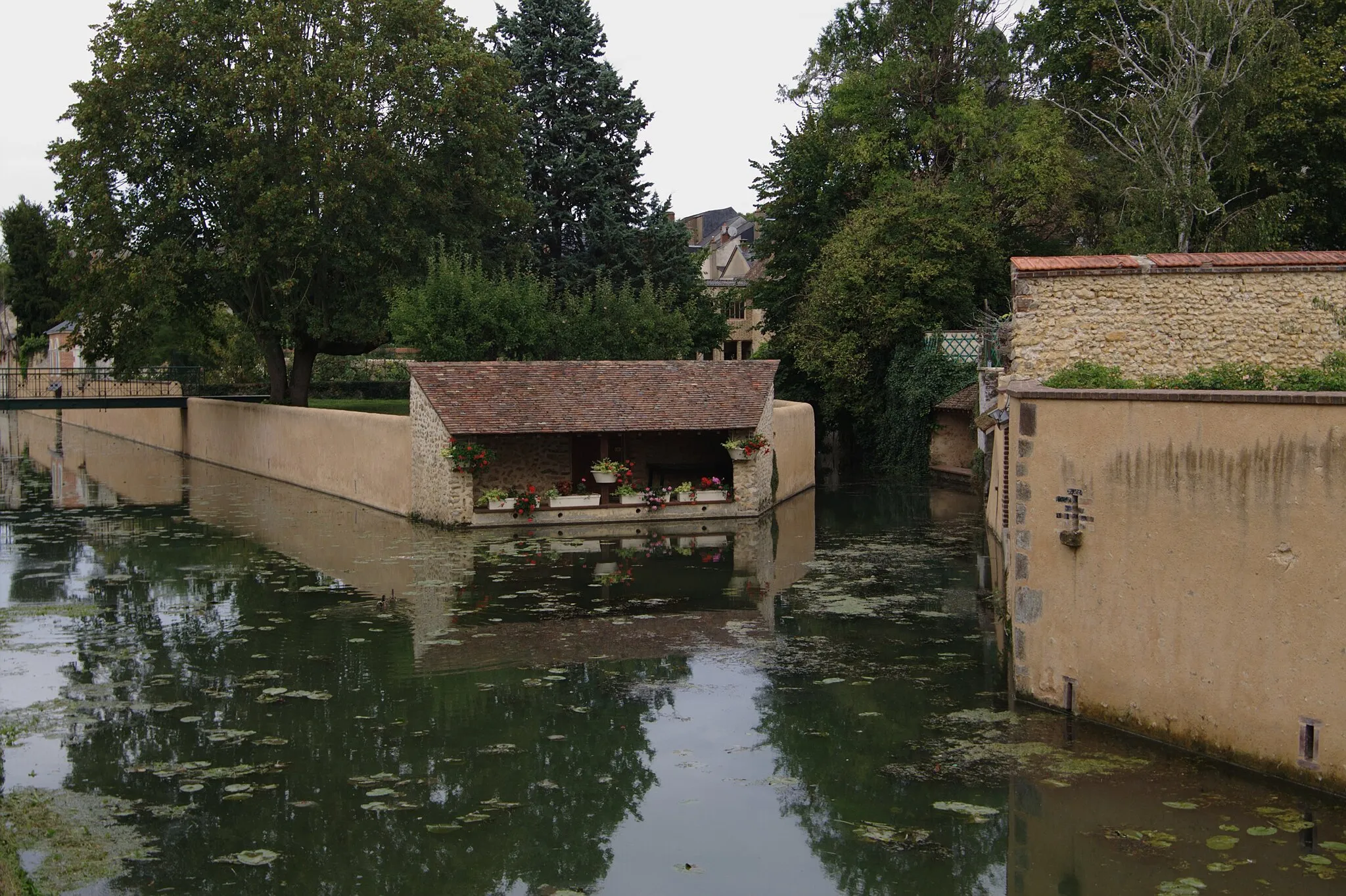 Photo showing: Les bords de l'Anille à Saint-Calais.