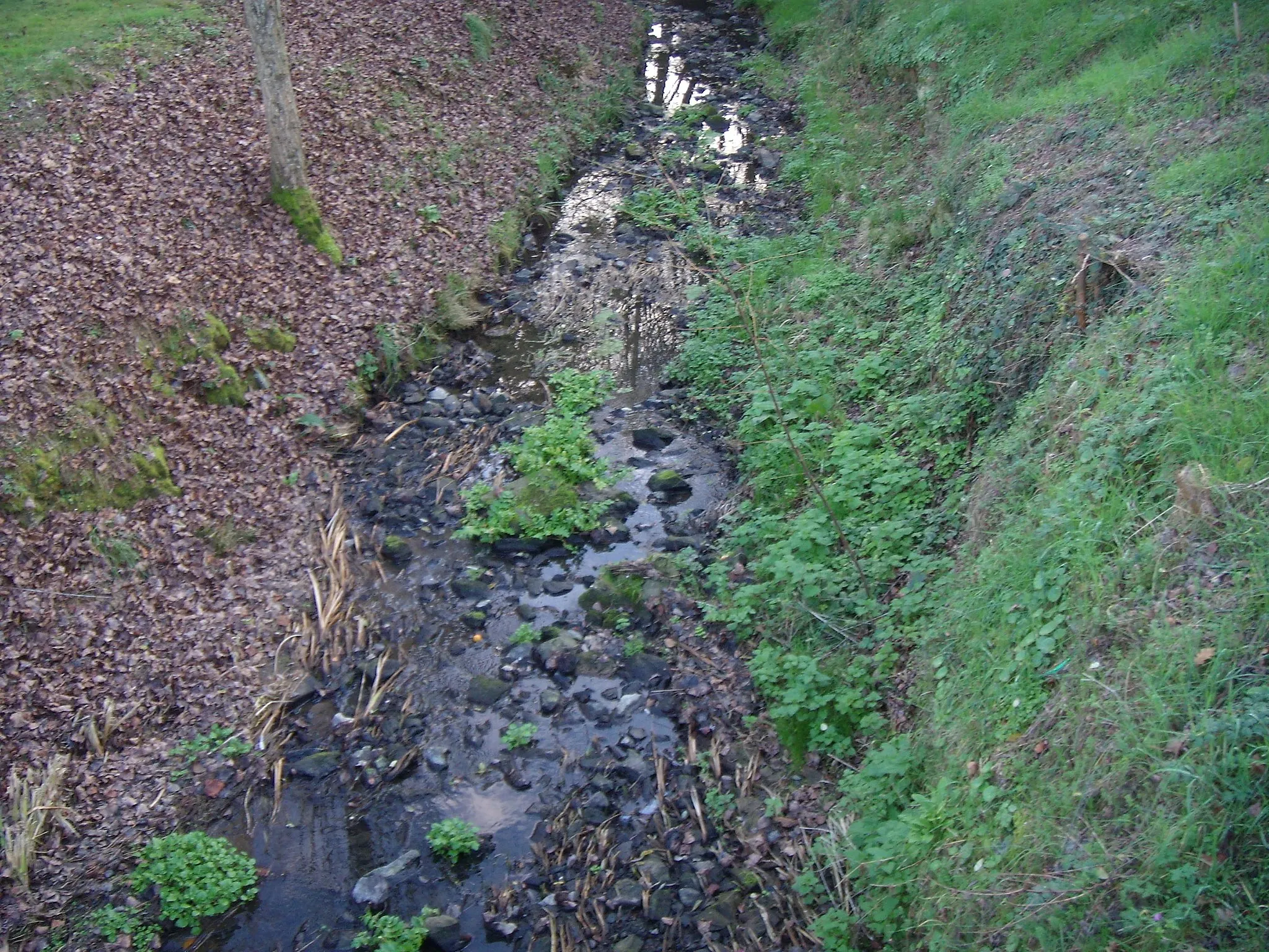 Photo showing: ruisseau de l'Aiguefou
