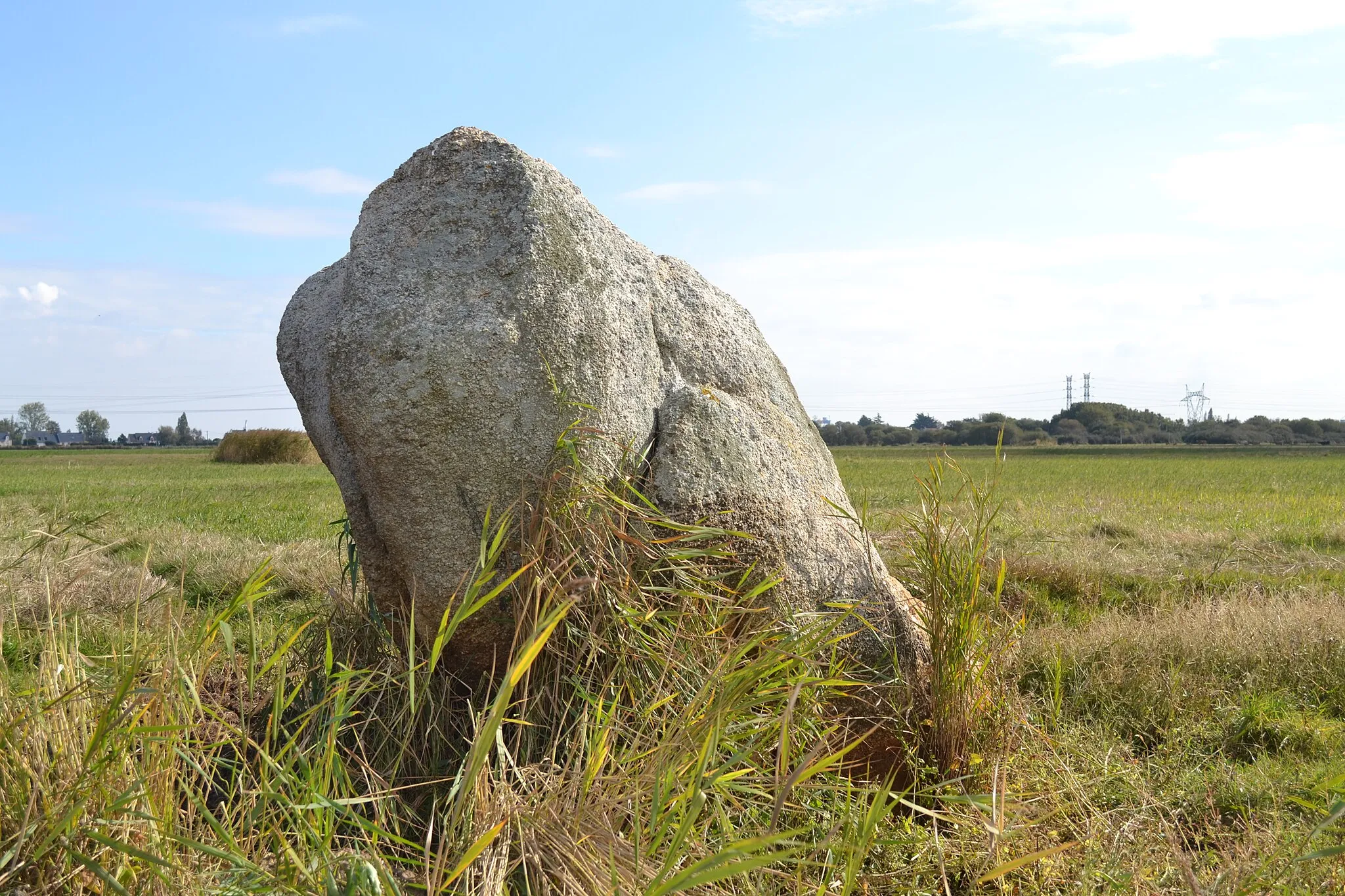 Photo showing: Menhir de Pierre Blanche, Trignac, Loire-Atlantique