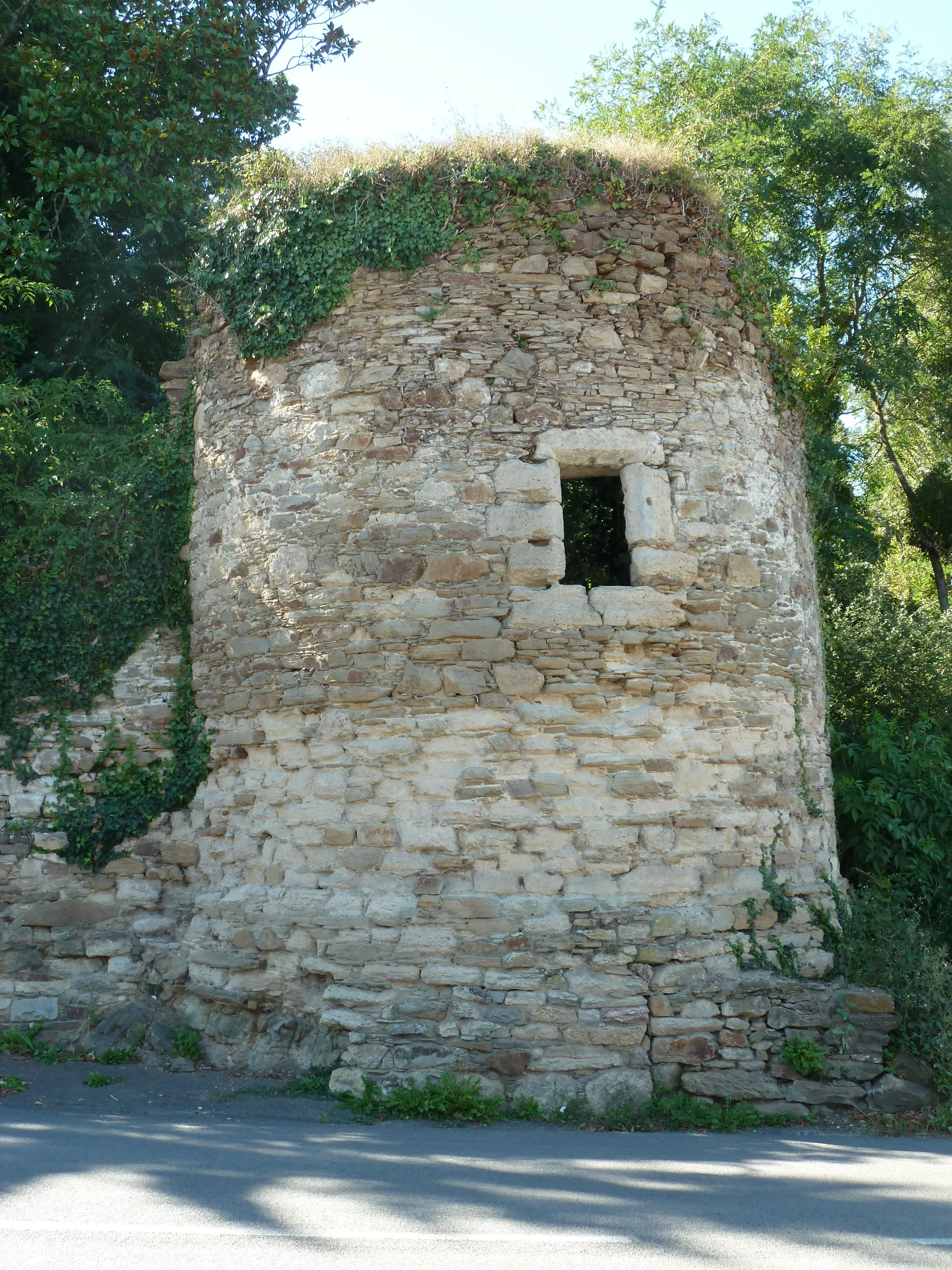 Photo showing: Vestige de l'ancien château de Campbon
La Tour d'enfer