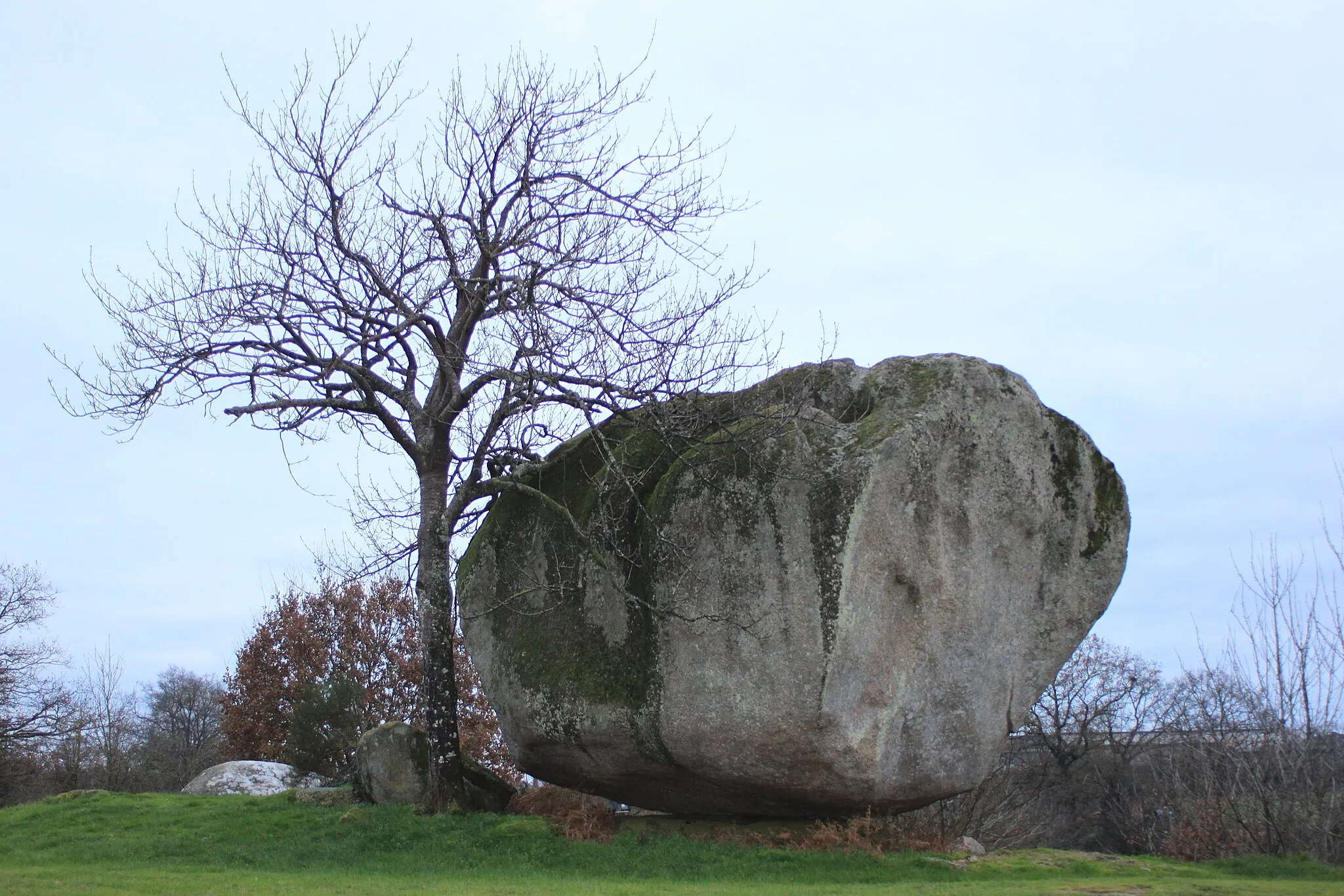 Photo showing: Pierre Tournisse megalith. Fr-49-Torfou.