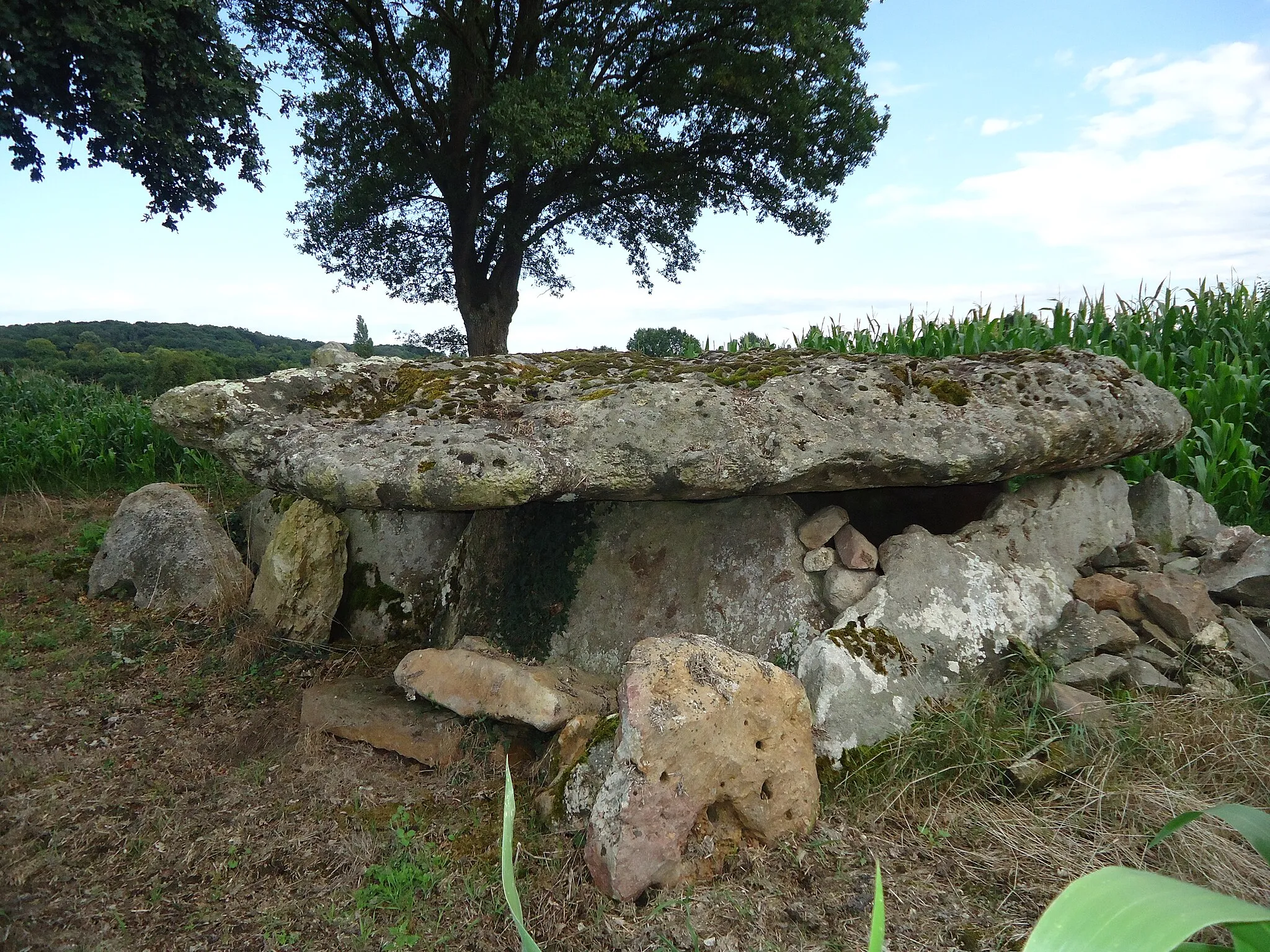 Photo showing: Allée couverte du Colombier - Aubigné-Racan - Sarthe (72)