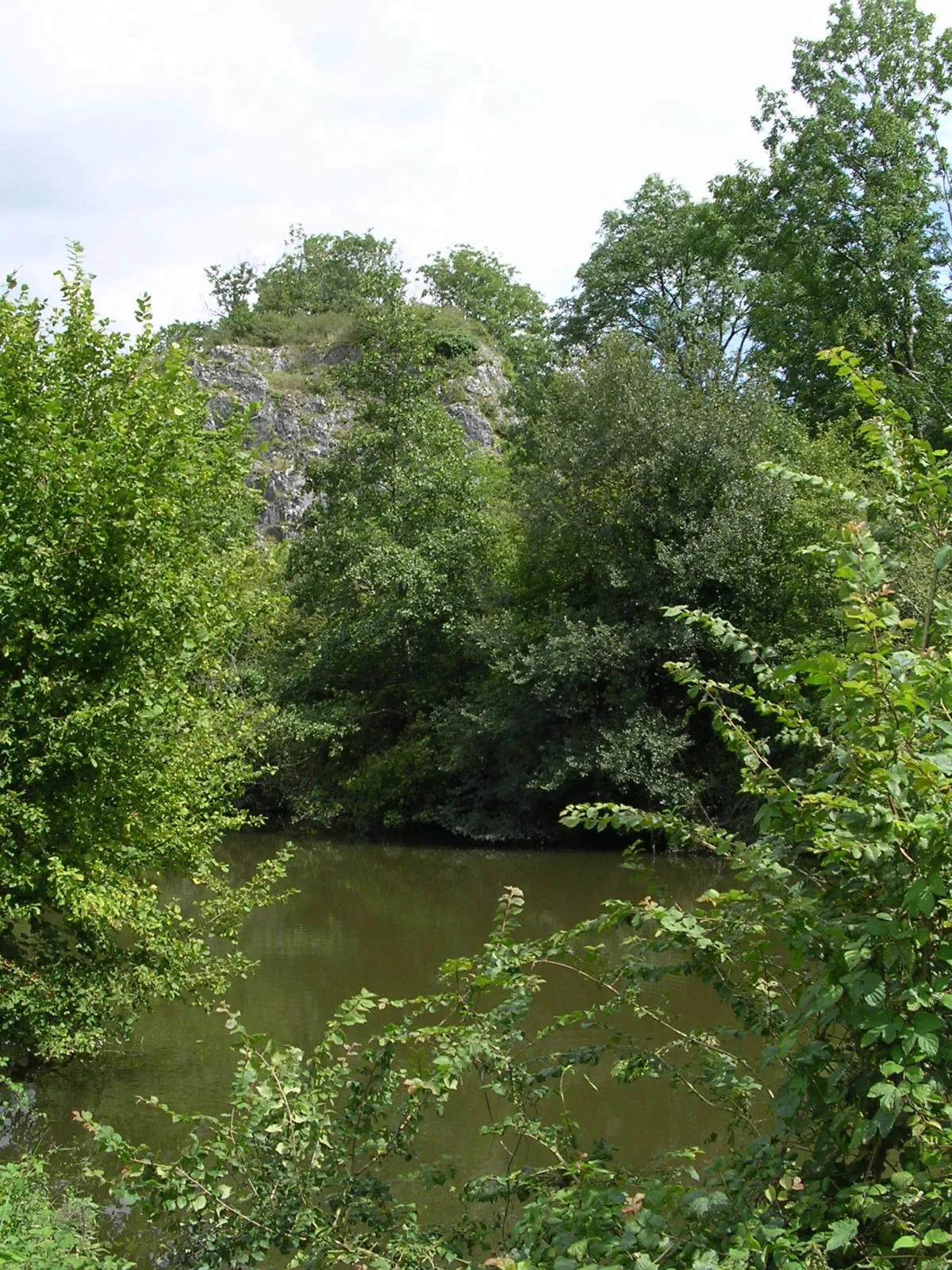 Photo showing: Rive de la Jouanne sur la commune d'Argentré