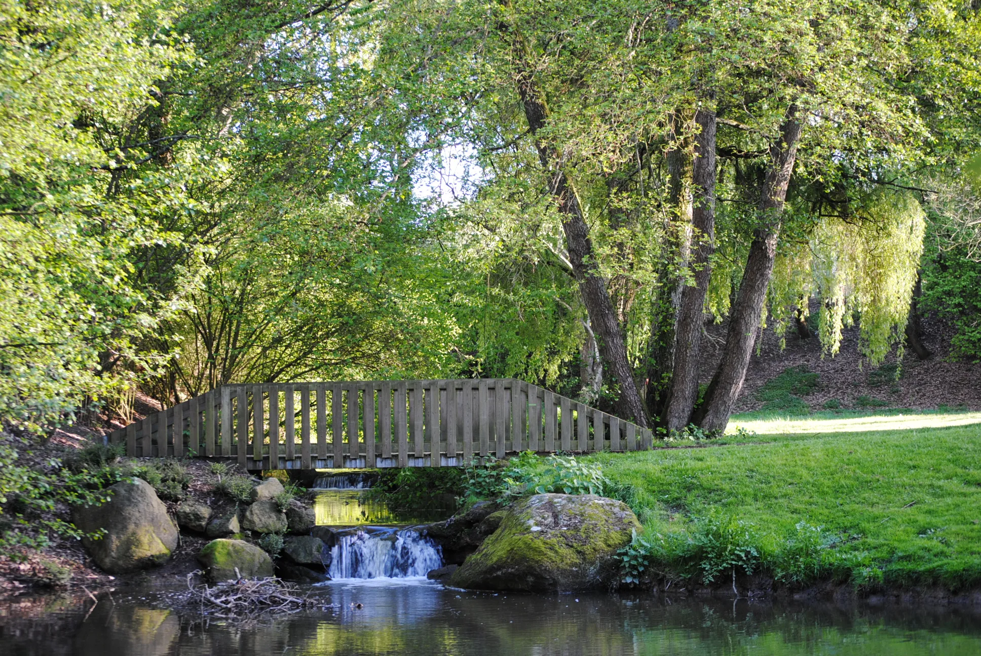 Photo showing: Vallée de la garenne La Tessoualle (Maine-et-Loire, France).