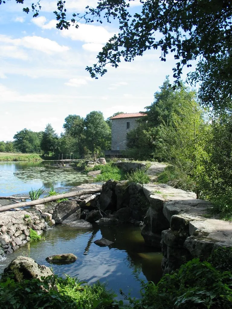 Photo showing: Sèvre Nantaise, near Le Longeron, west of France