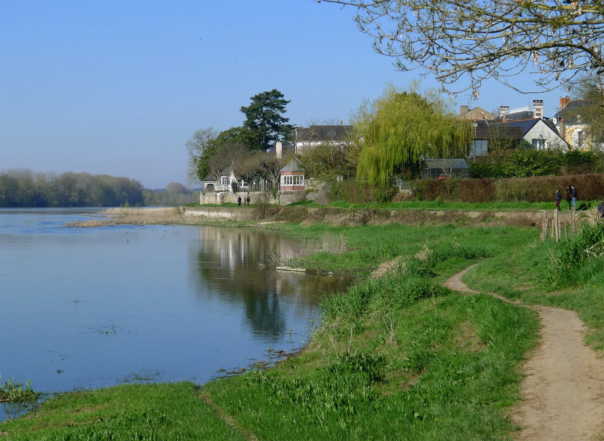 Photo showing: Sainte-Gemmes-sur-Loire (chemin le long de la Loire) - Maine-et-Loire, France