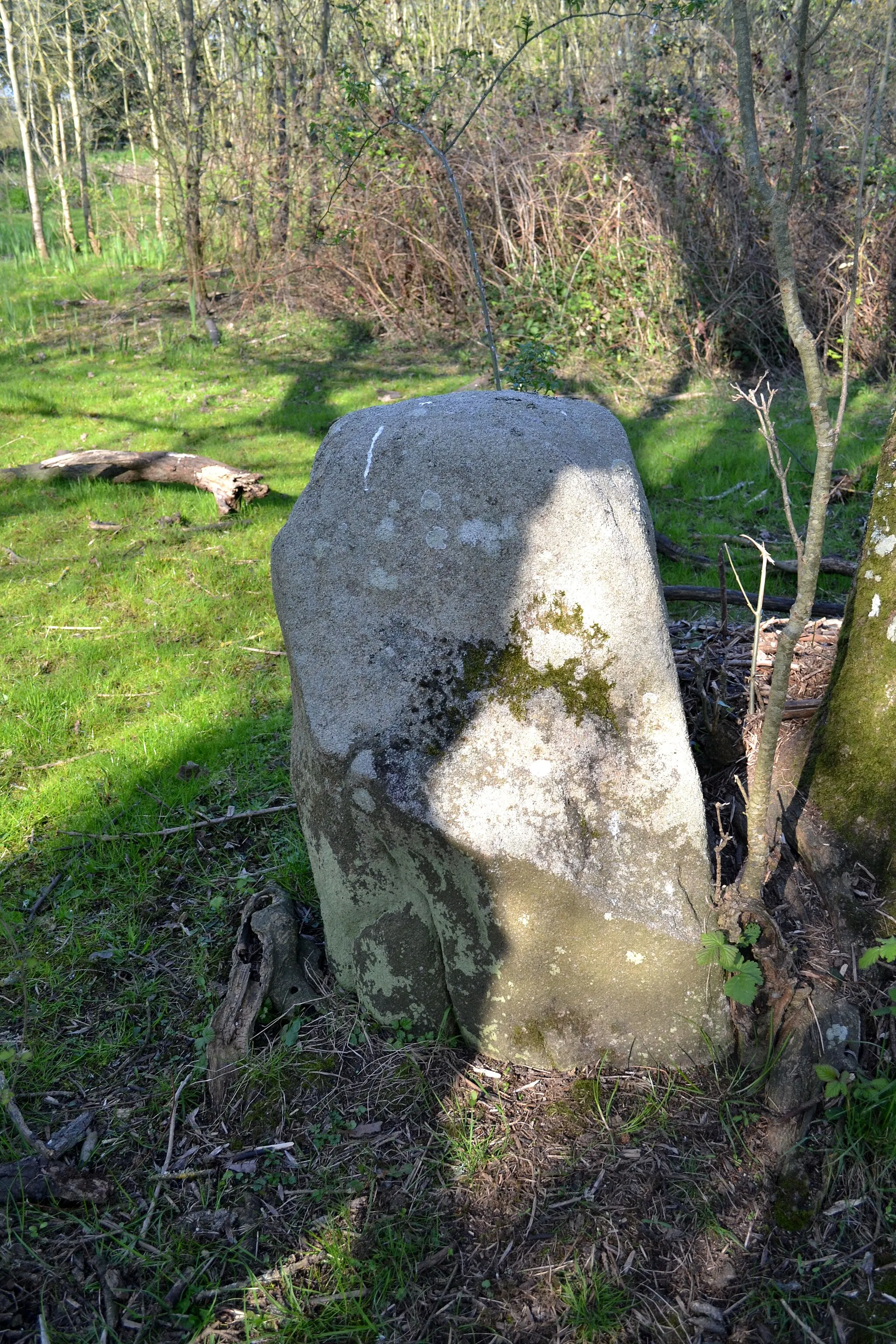 Photo showing: Petit menhir de Tréveron à Besné (44) près de la rive du Brivet.